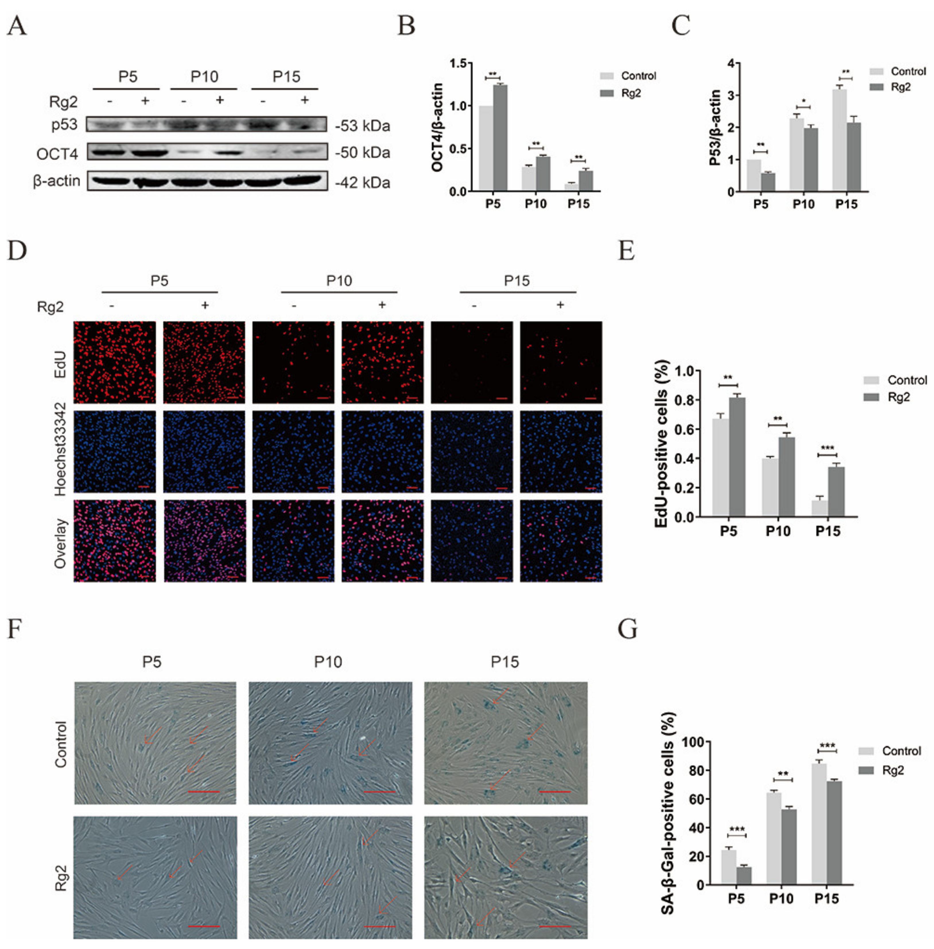 Foods 12 01075 g008 Foods 12 01075 g008