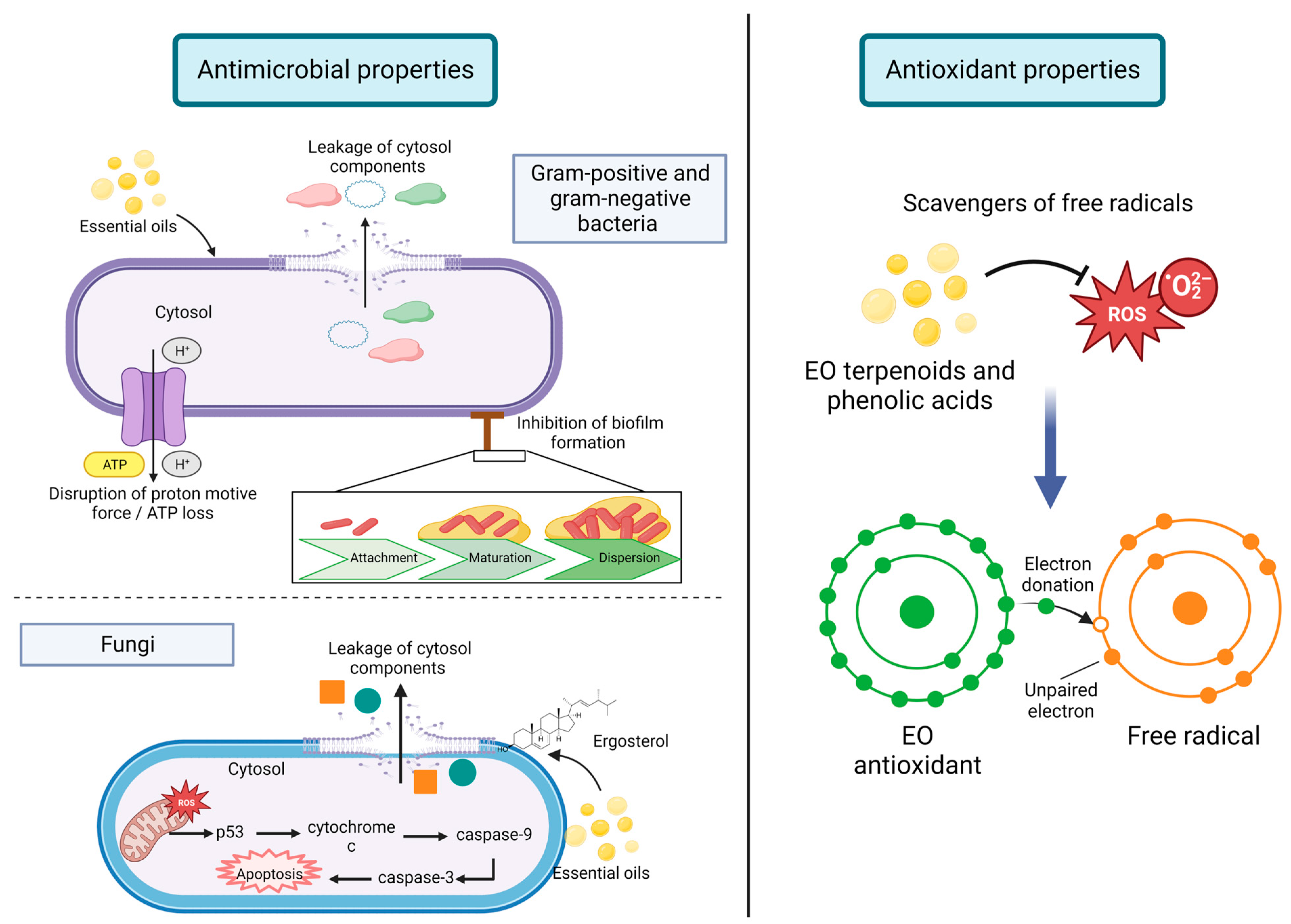 Foods 12 01079 g002 Foods 12 01079 g002
