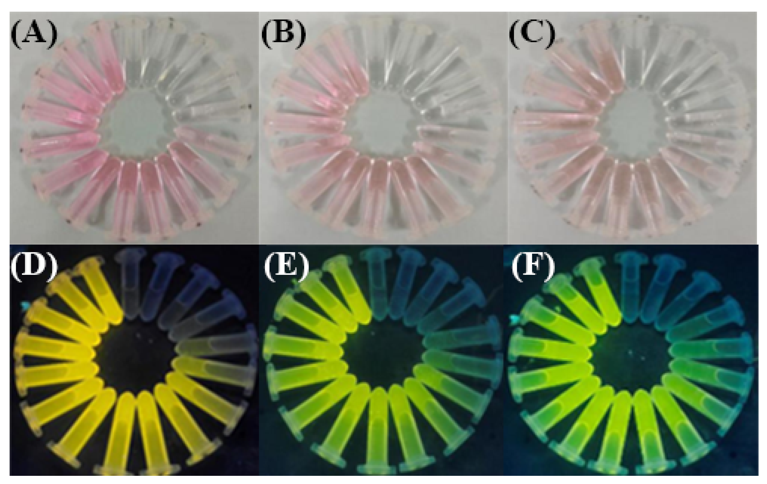 Foods 12 01085 g002 Foods 12 01085 g002