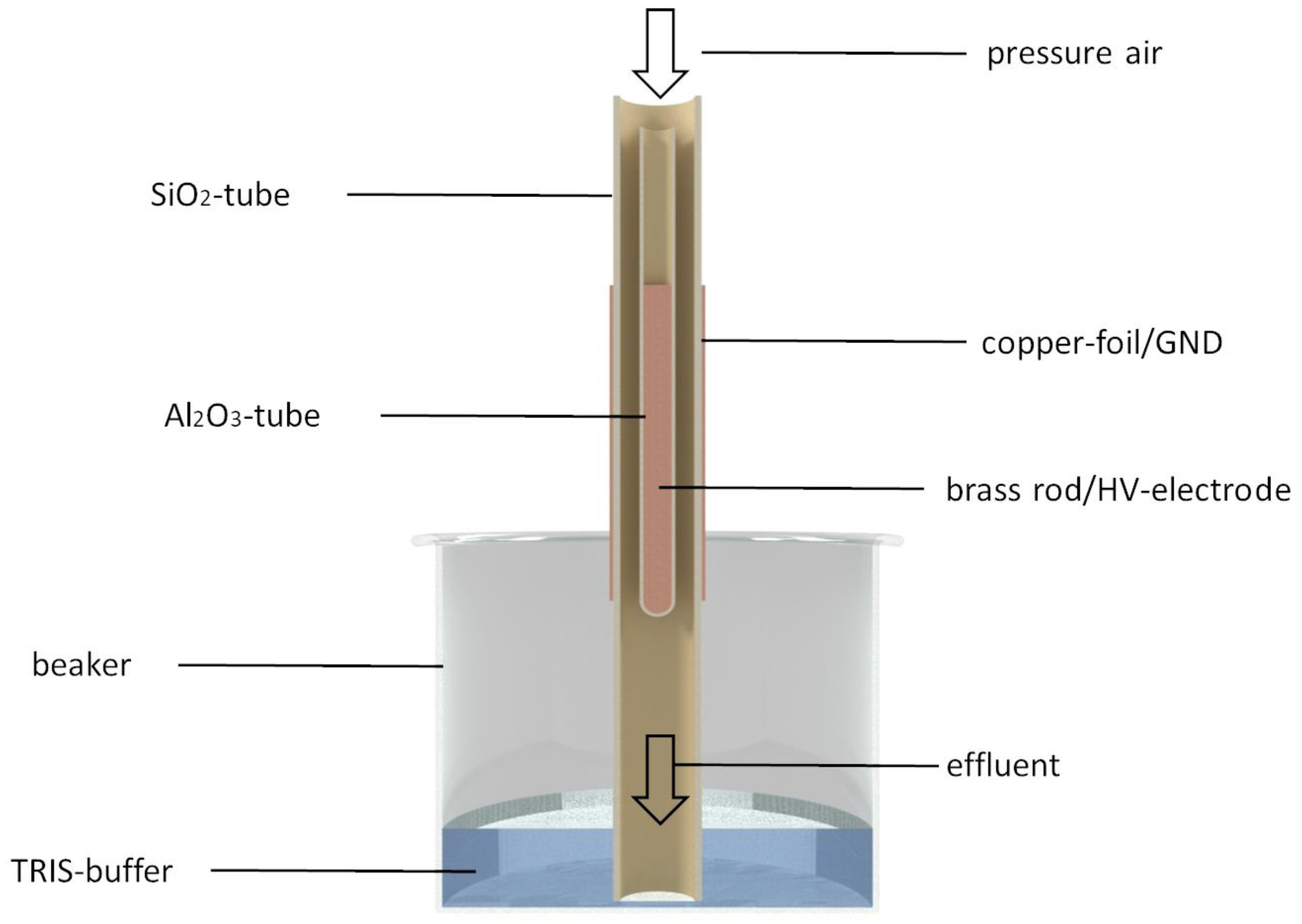 Foods 12 01113 g001 Foods 12 01113 g001