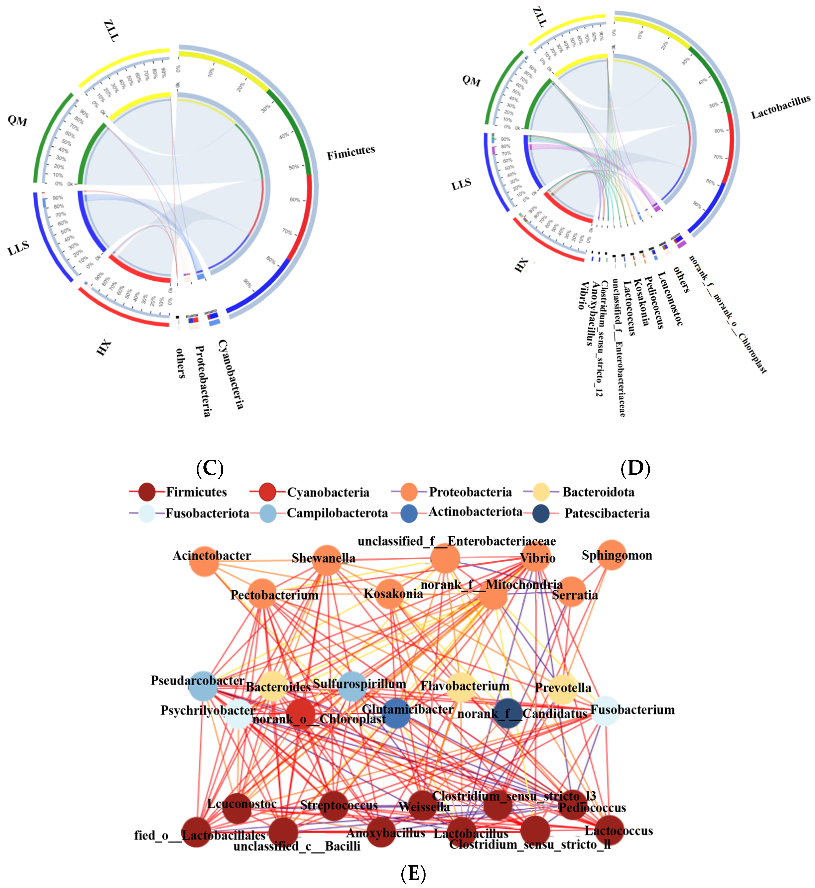 Foods 12 01164 g001b