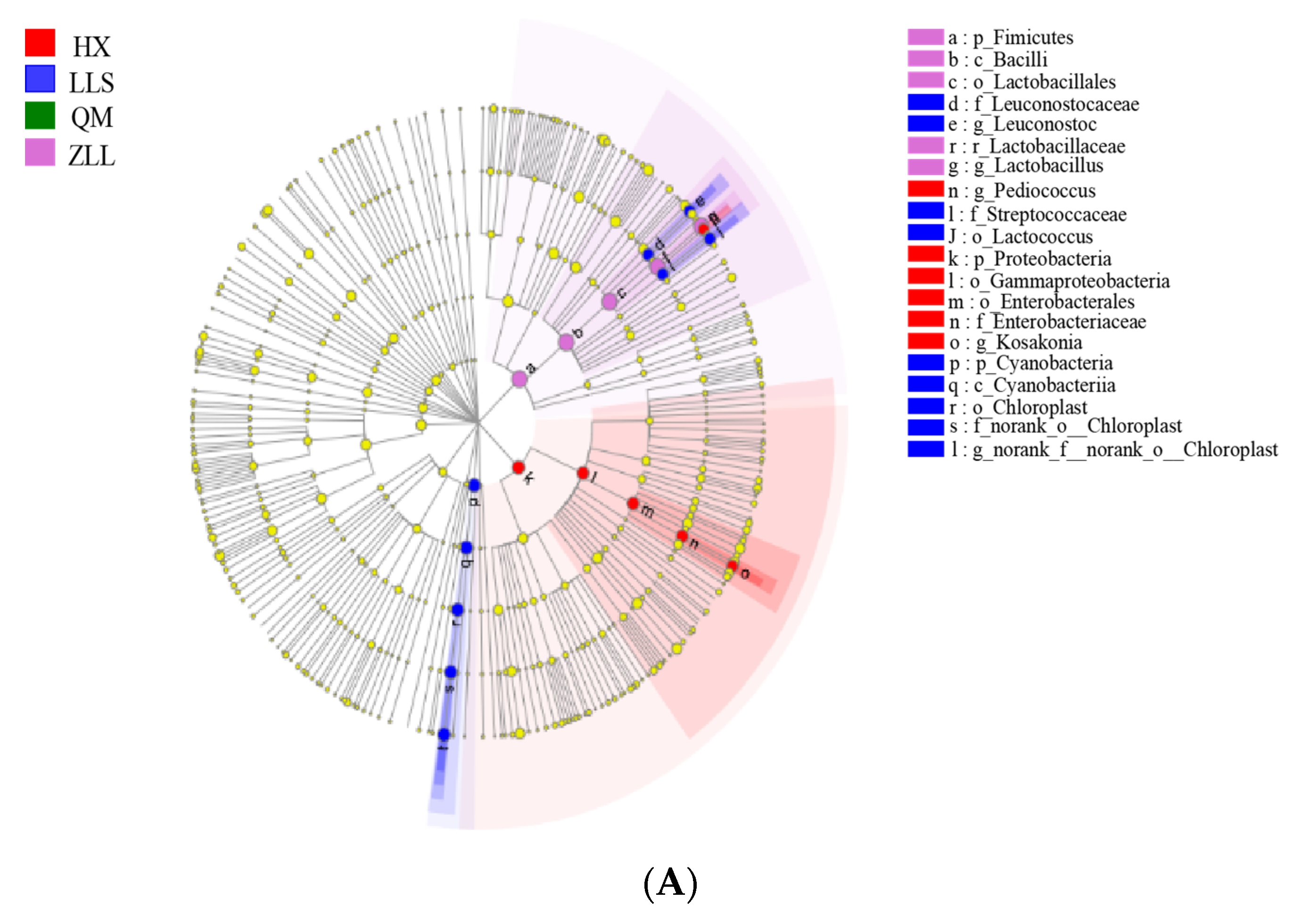Foods 12 01164 g002a