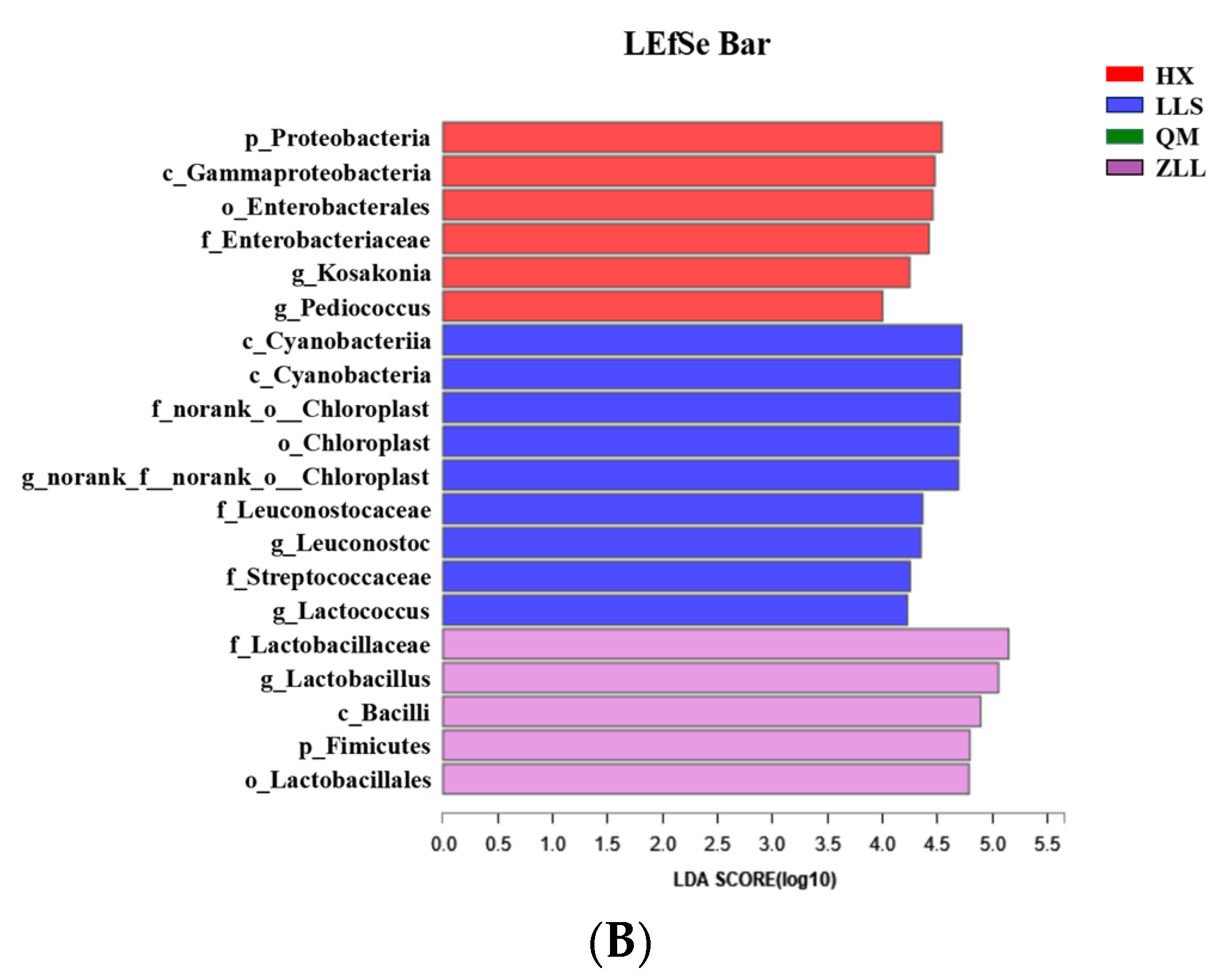 Foods 12 01164 g002b