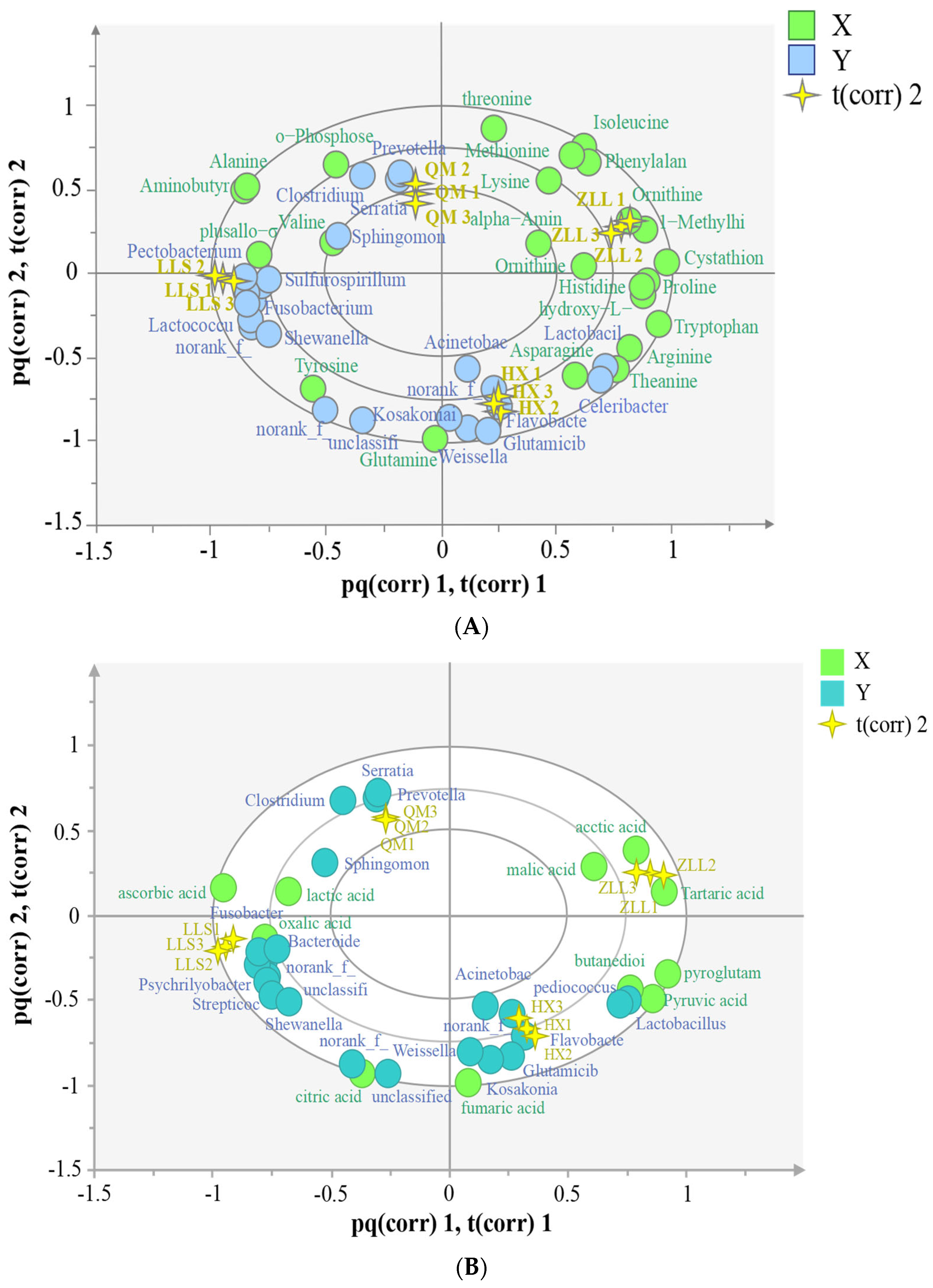 Foods 12 01164 g005a