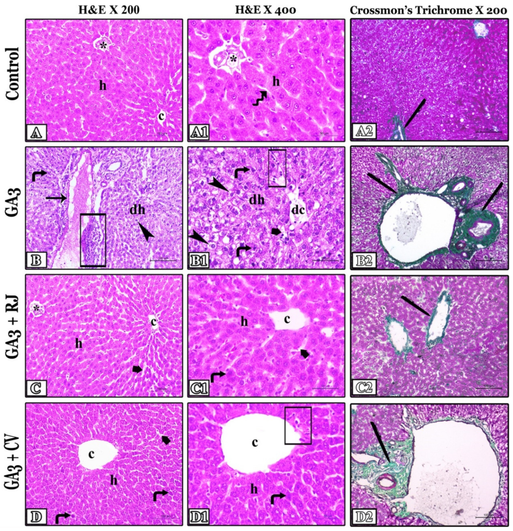 Foods 12 01223 g004 Foods 12 01223 g004