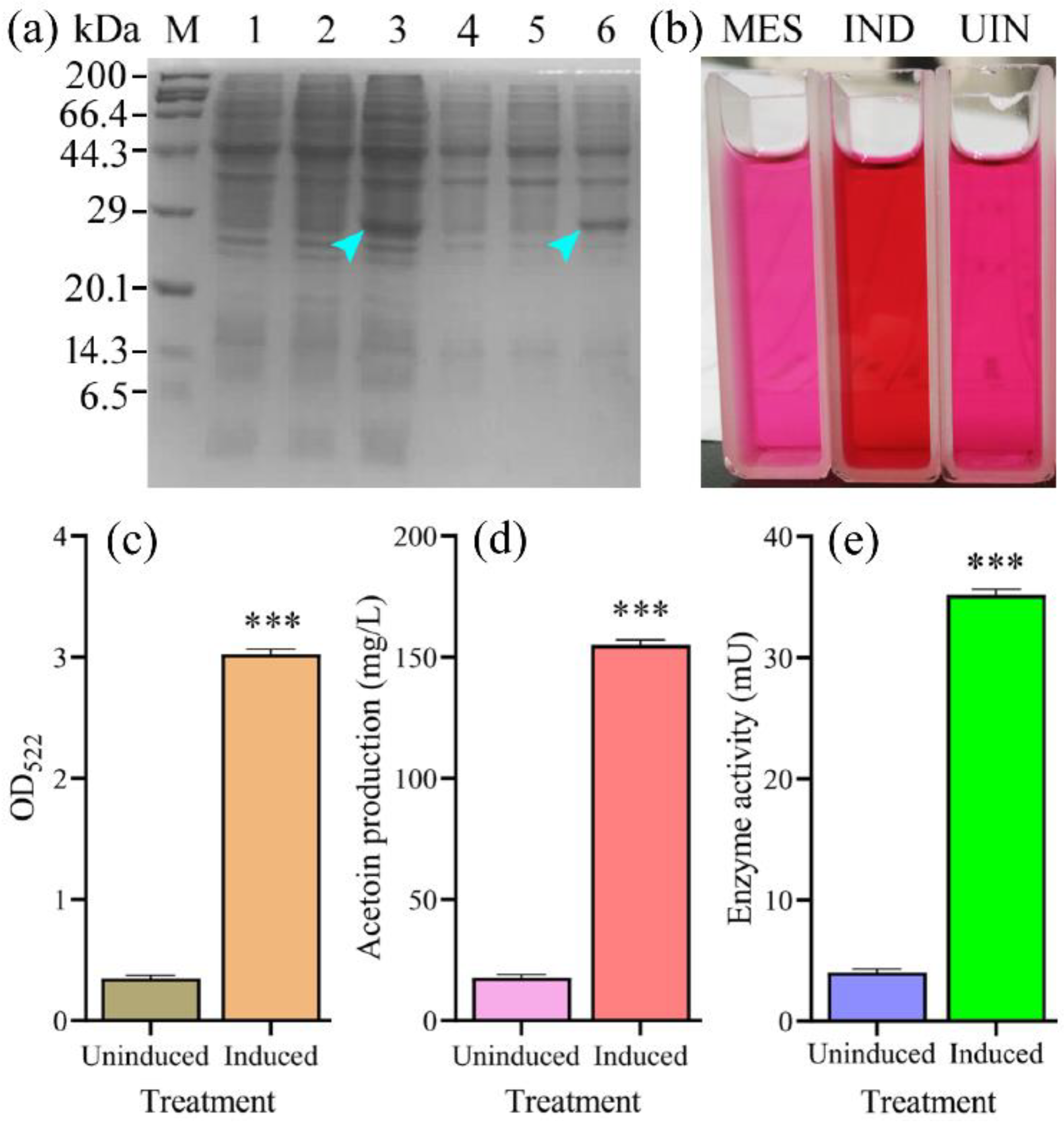 Foods 12 01317 g003 Foods 12 01317 g003