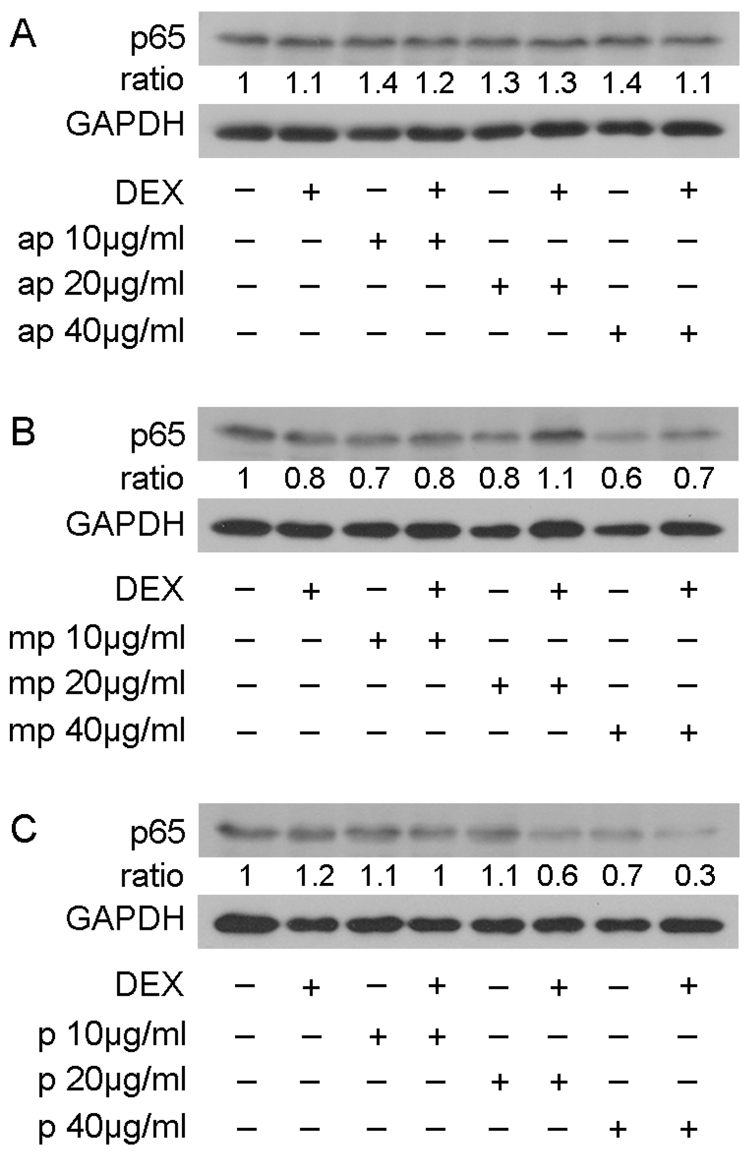 Foods 12 01390 g007 Foods 12 01390 g007