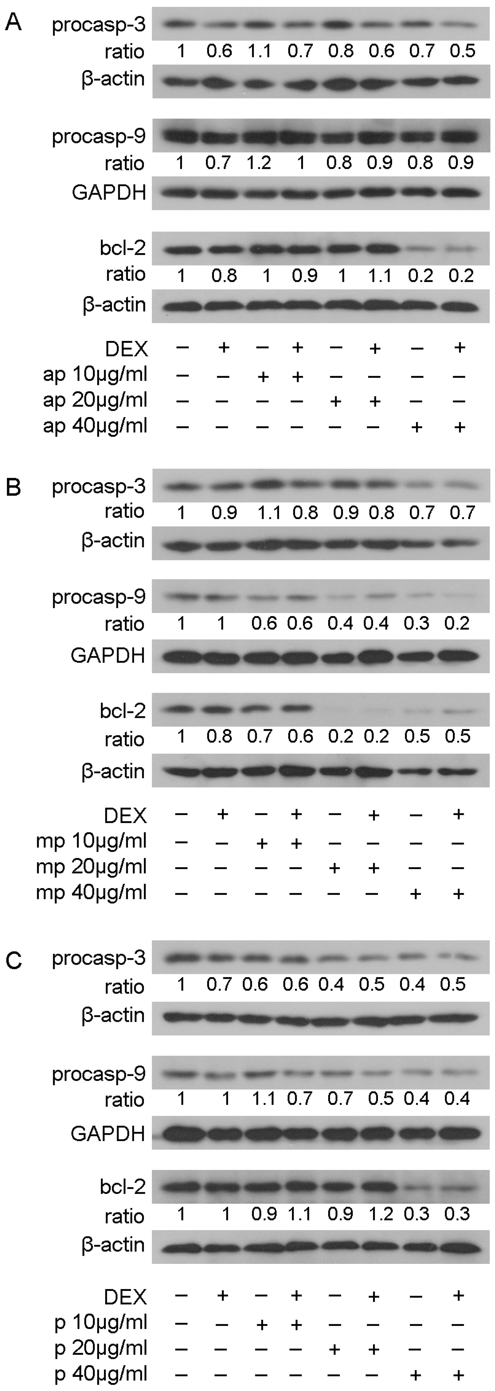 Foods 12 01390 g008 Foods 12 01390 g008