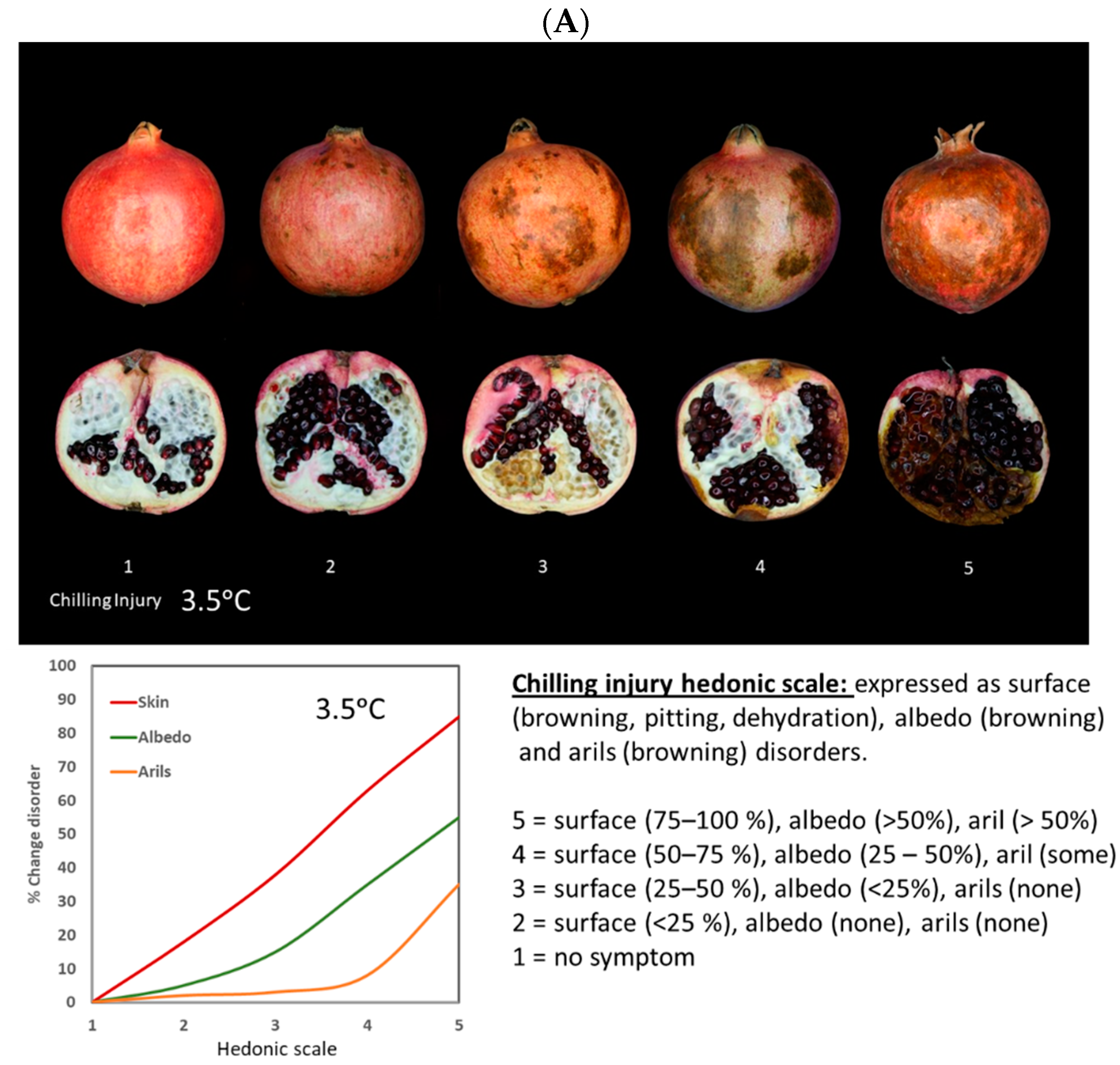 Foods 12 01462 g003a