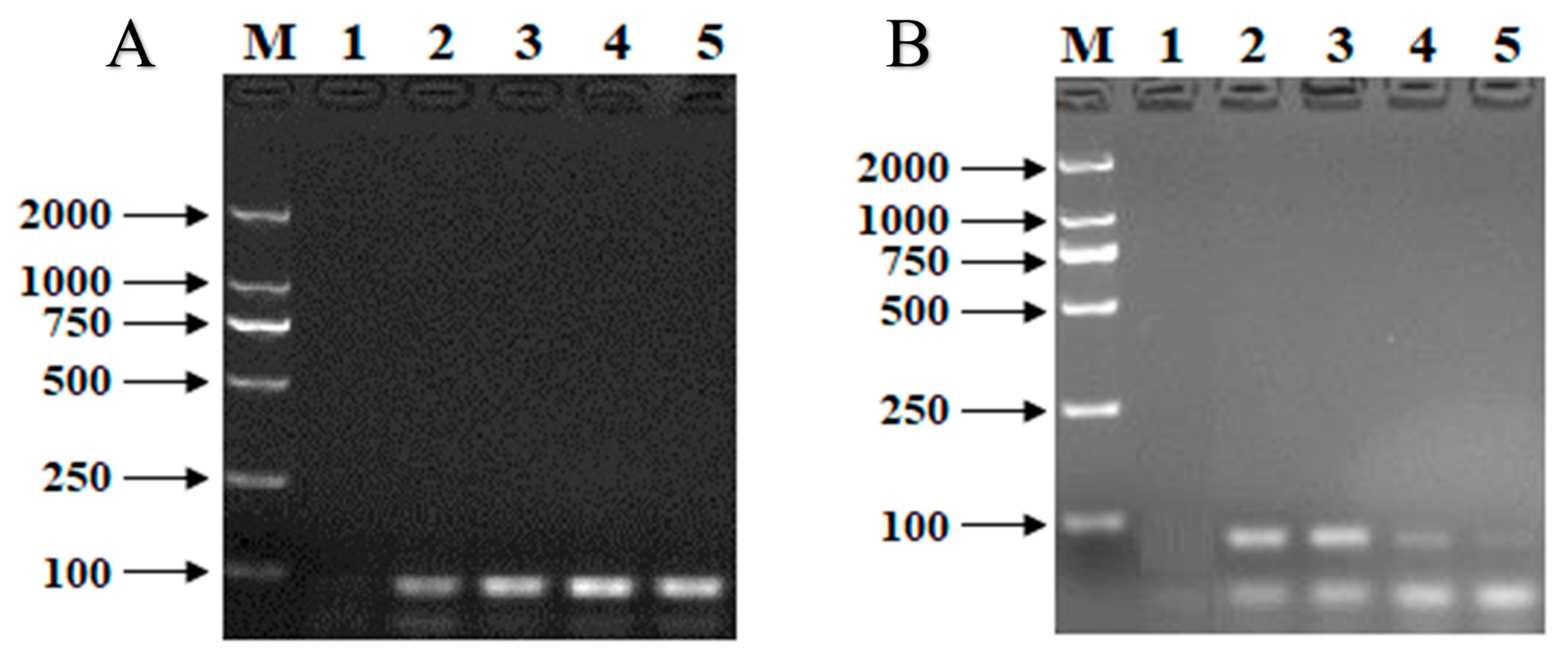 Foods 12 01504 g001 Foods 12 01504 g001