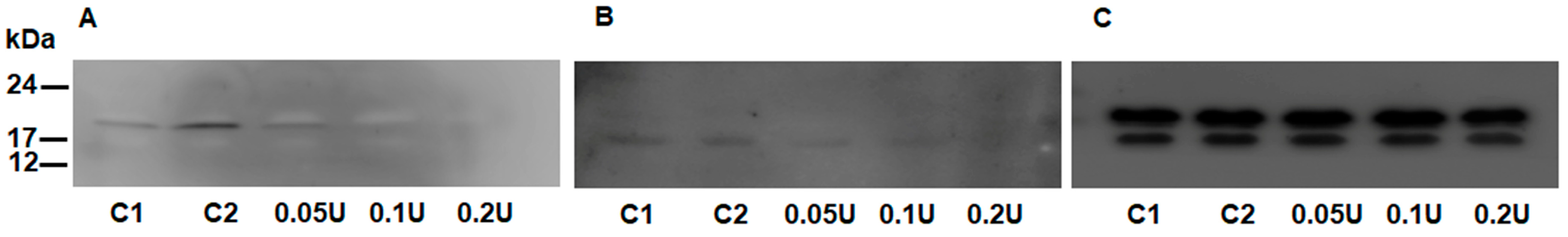 Foods 12 01528 g002 Foods 12 01528 g002