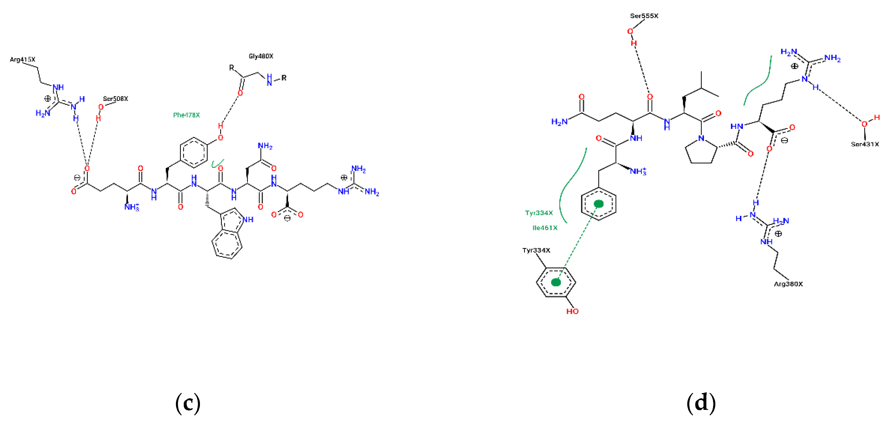 Foods 12 01554 g004b