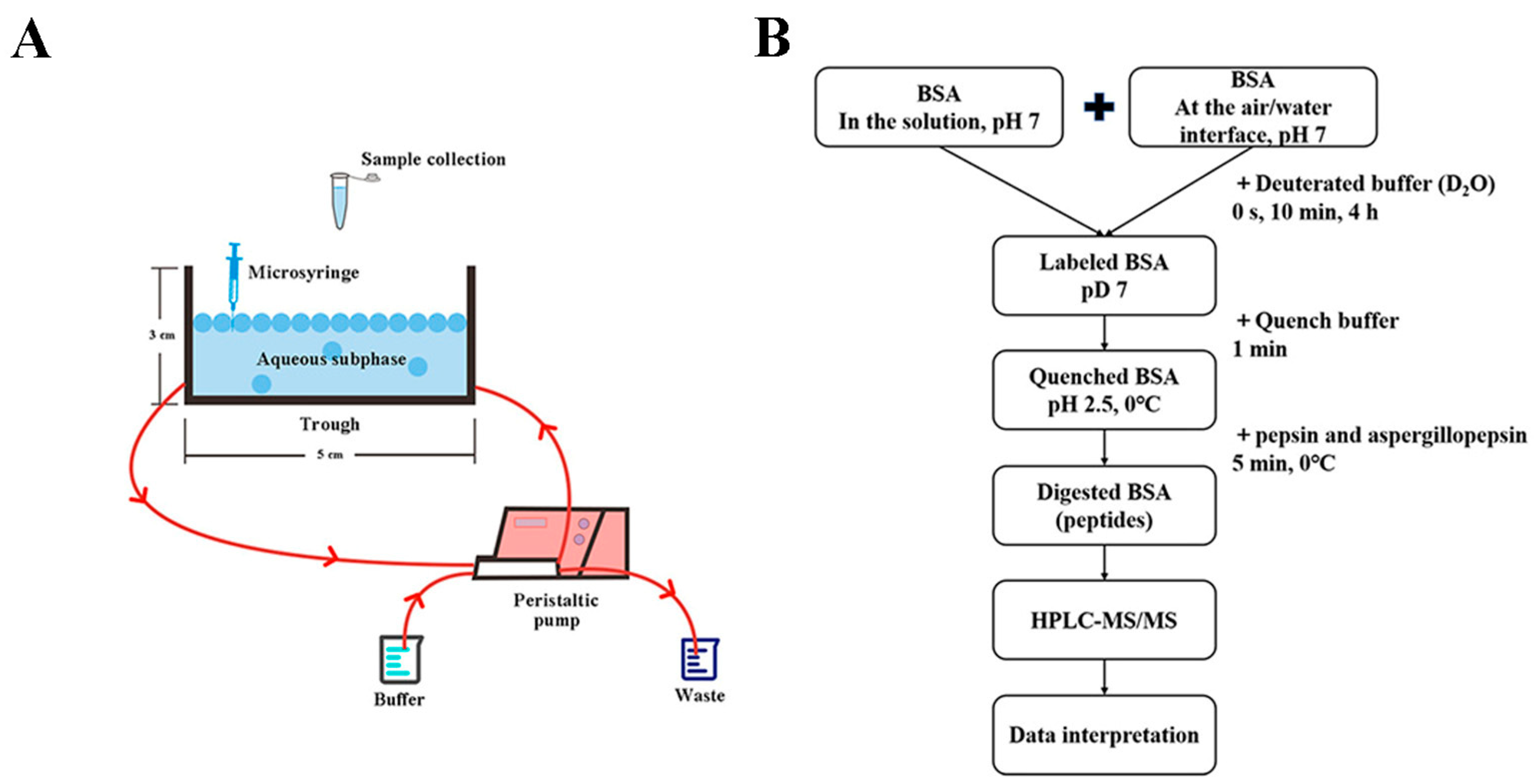 Foods 12 01601 g001 Foods 12 01601 g001