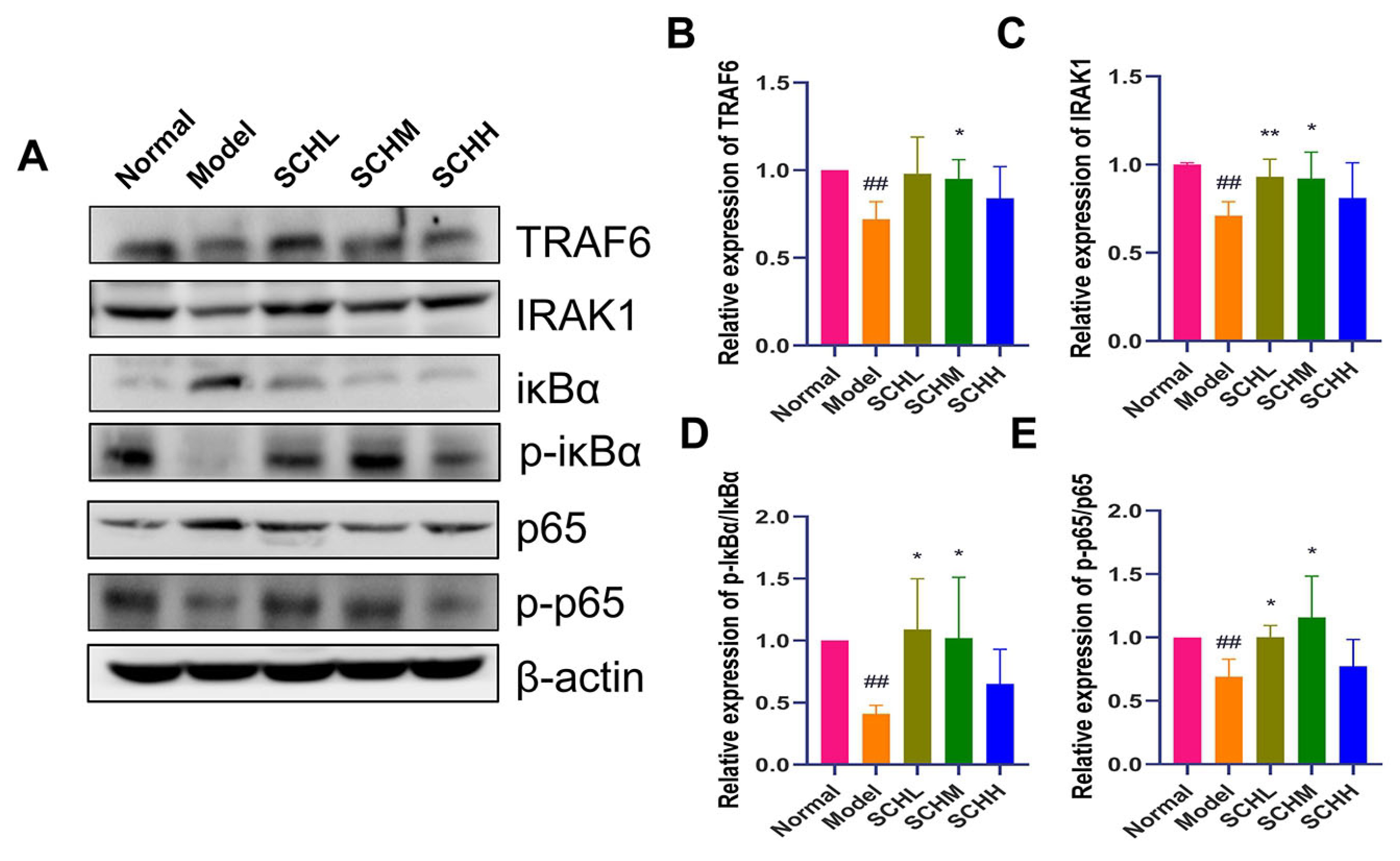 Foods 12 01604 g005 Foods 12 01604 g005