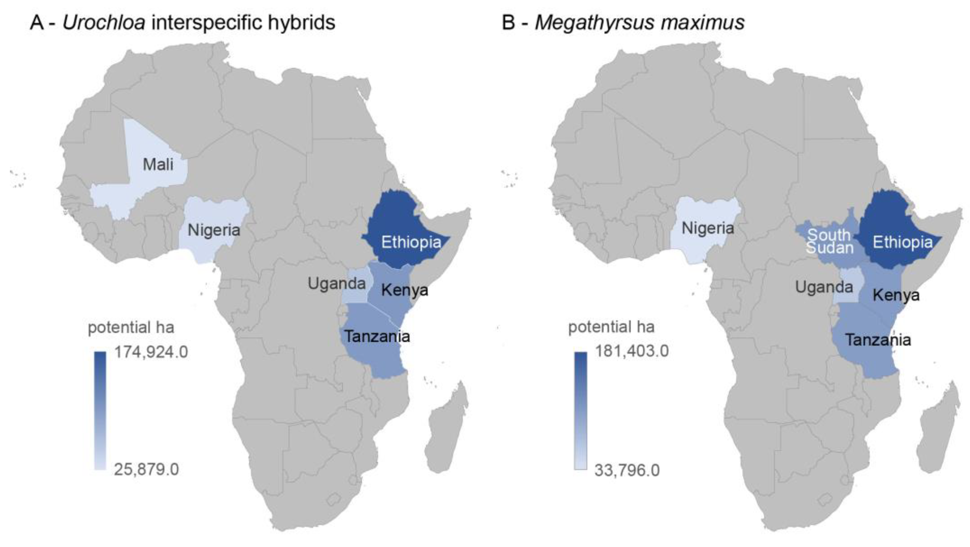 Foods 12 01607 g003 Foods 12 01607 g003