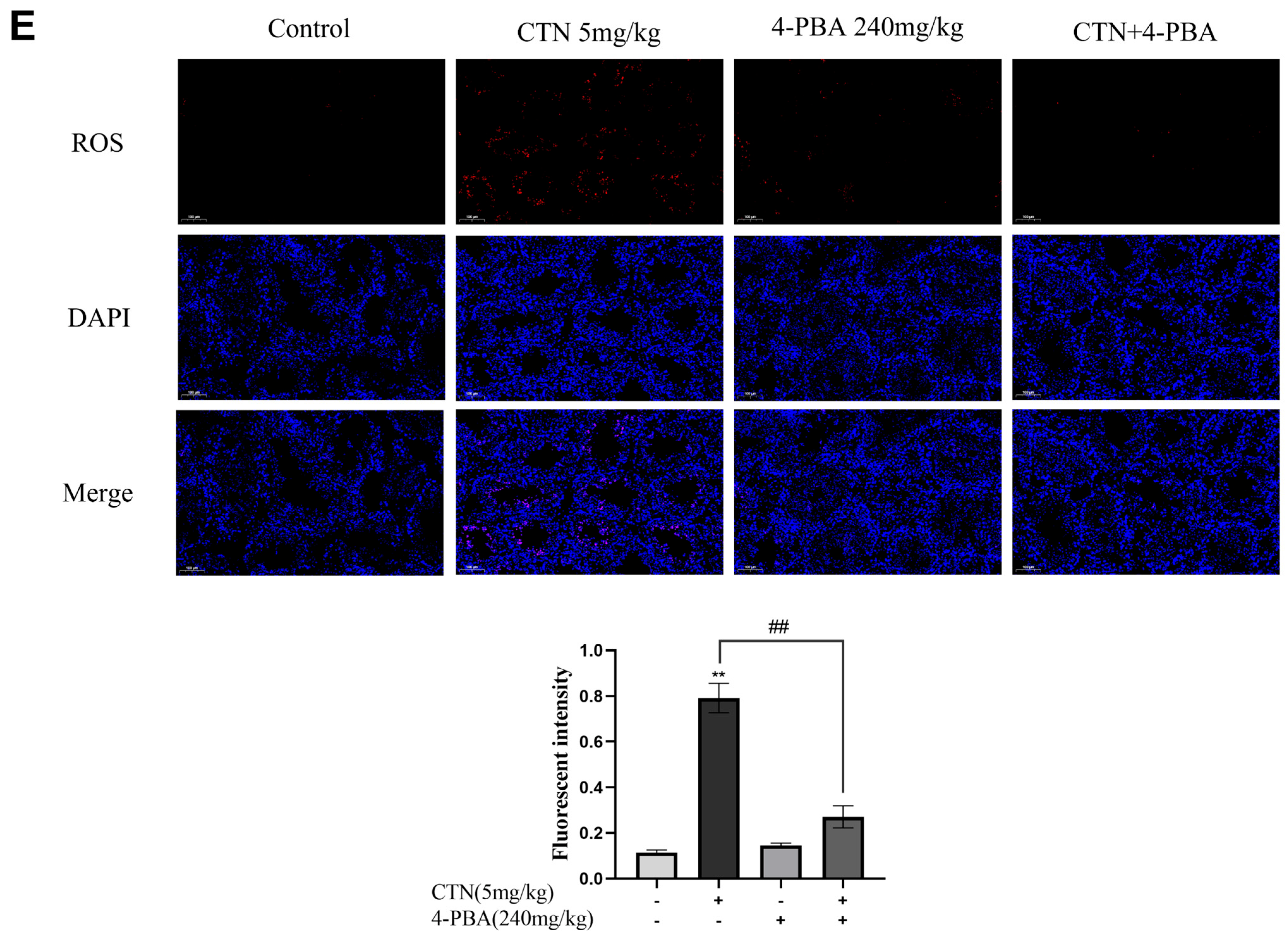 Foods 12 01616 g007b