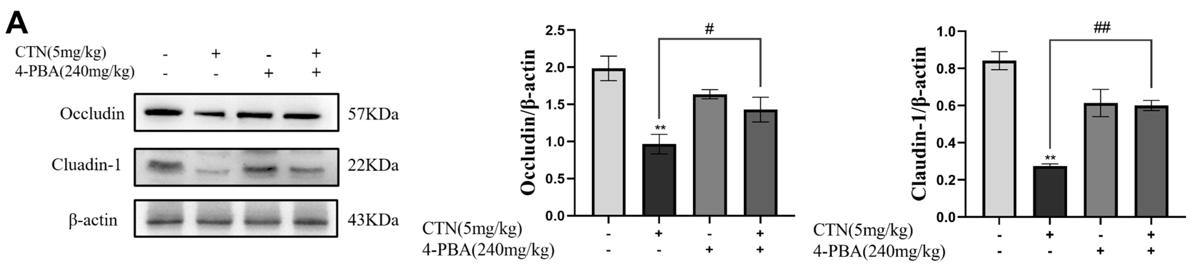 Foods 12 01616 g008a