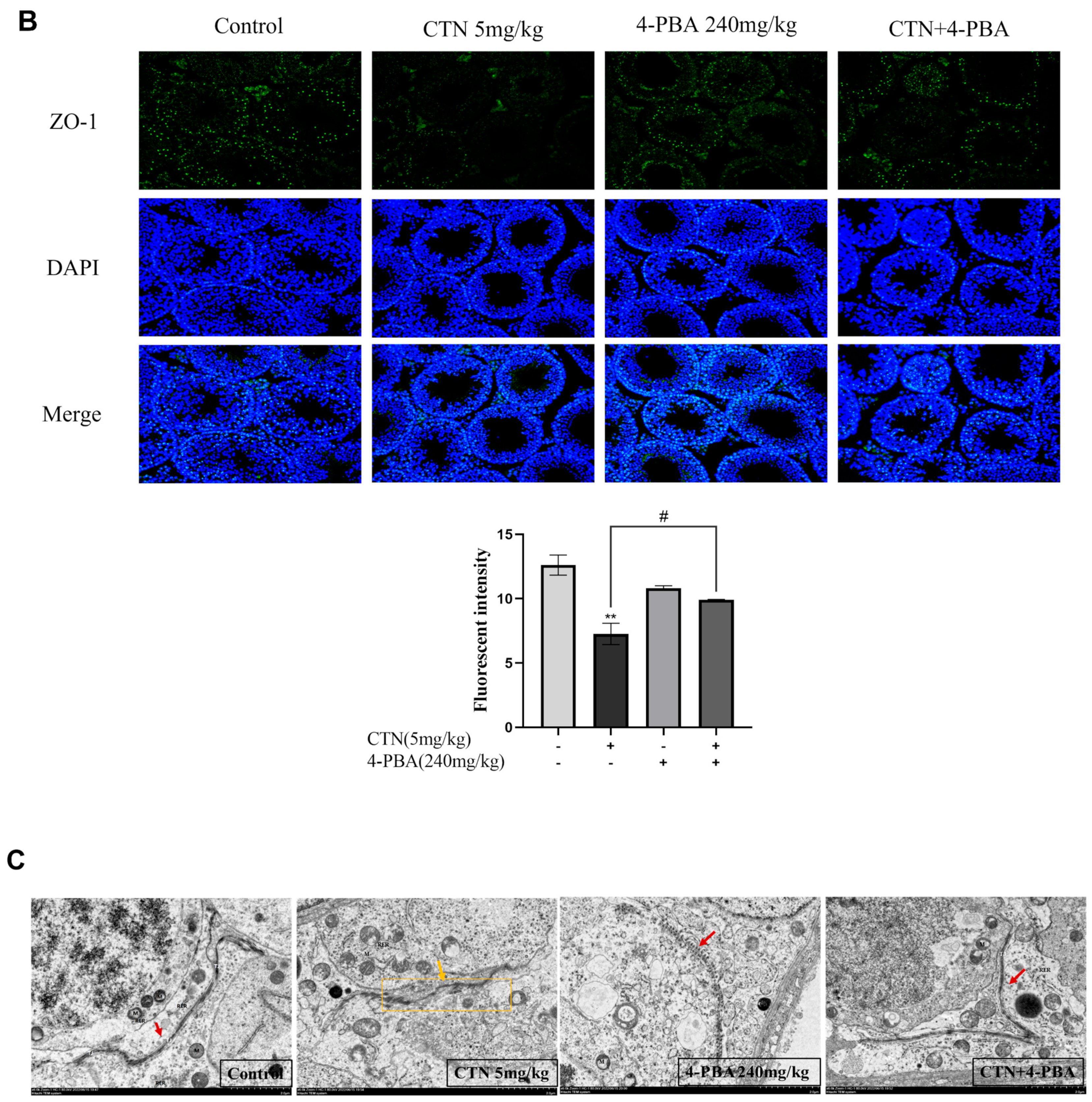 Foods 12 01616 g008b