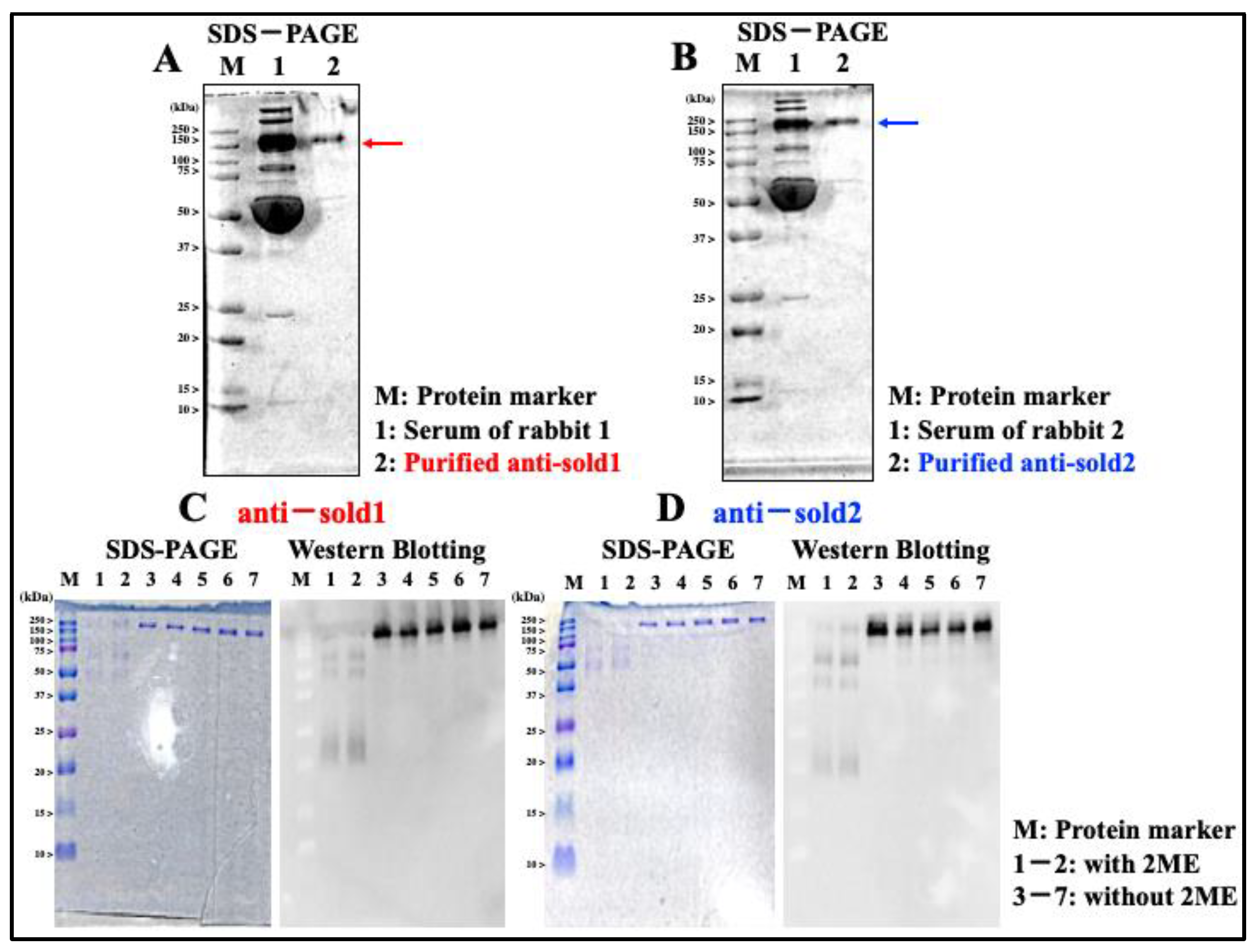 Foods 12 01621 g004 Foods 12 01621 g004