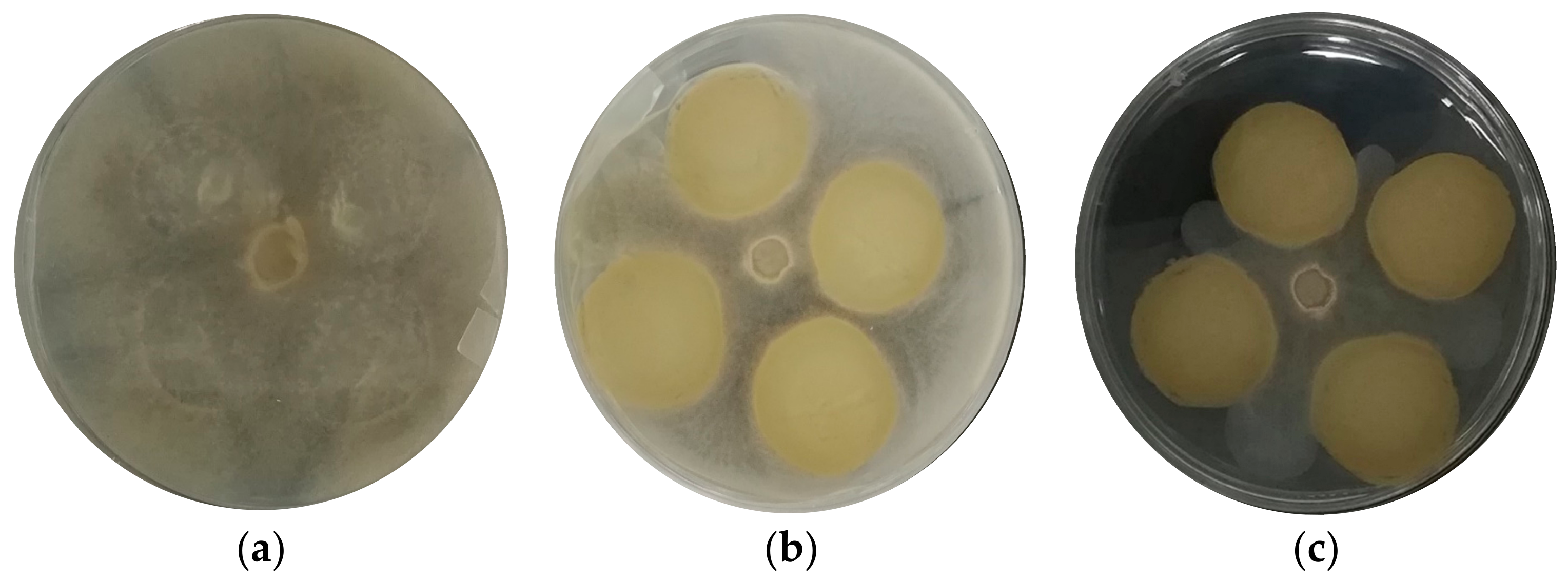Foods 12 01633 g005 Foods 12 01633 g005
