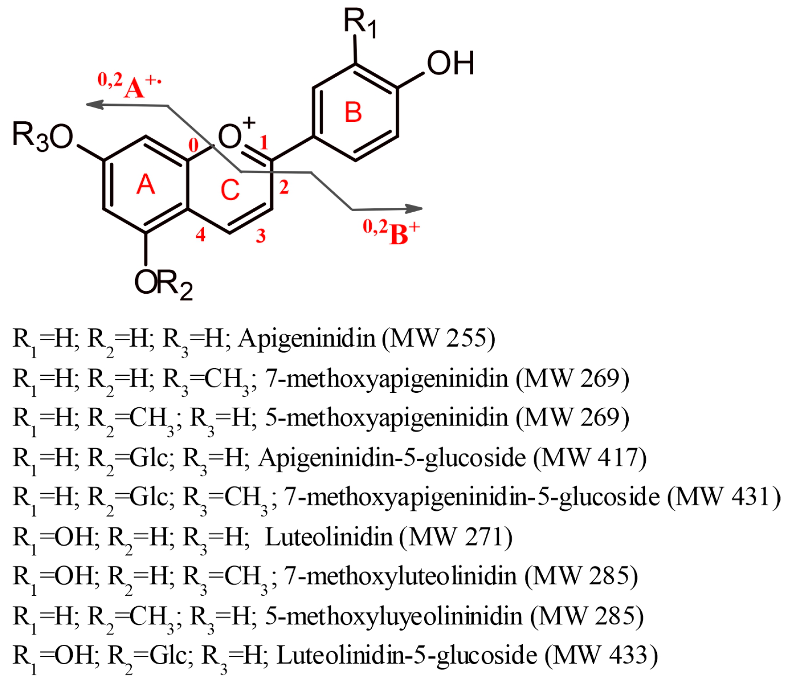 Foods 12 01646 g001 Foods 12 01646 g001