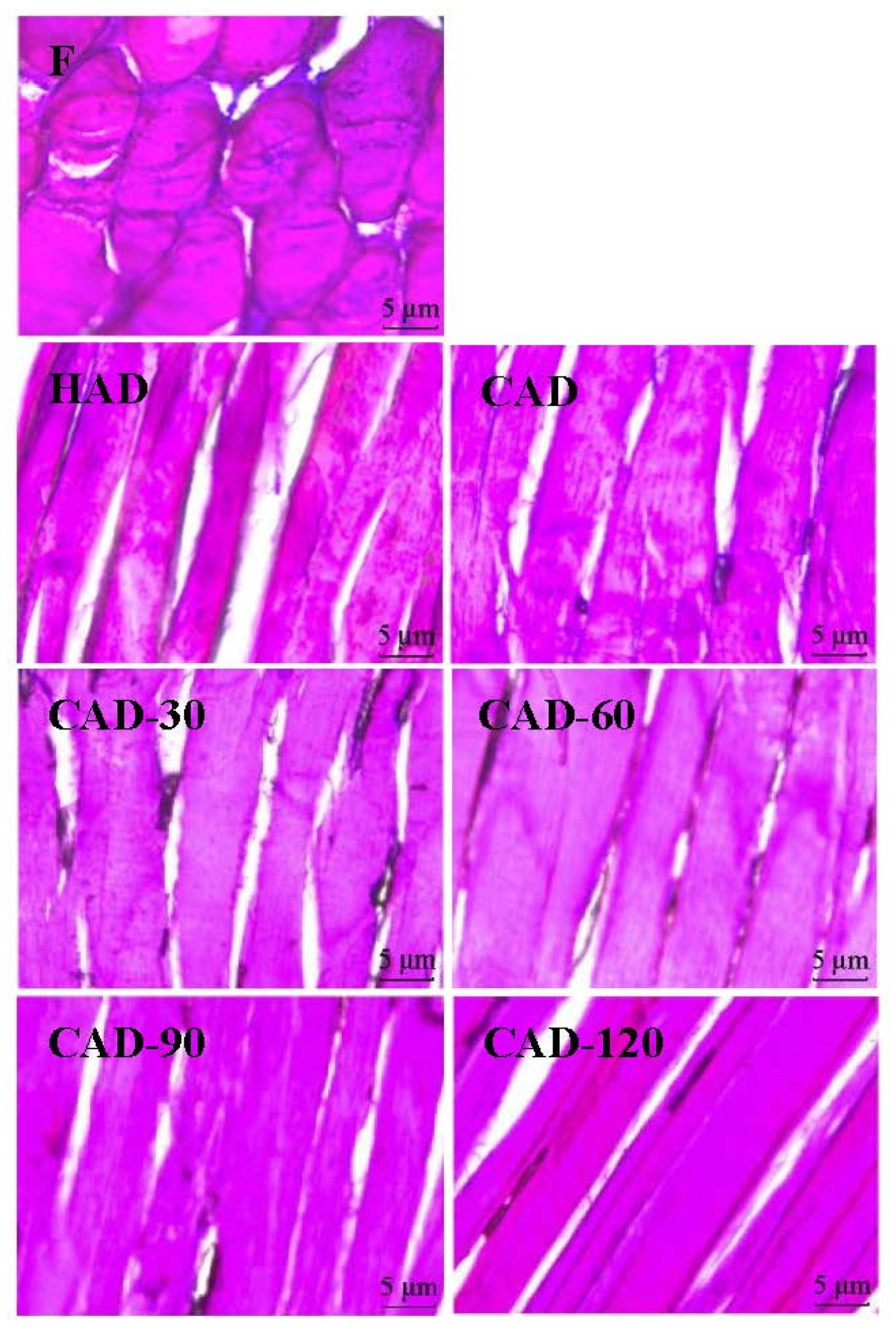 Foods 12 01649 g004 Foods 12 01649 g004
