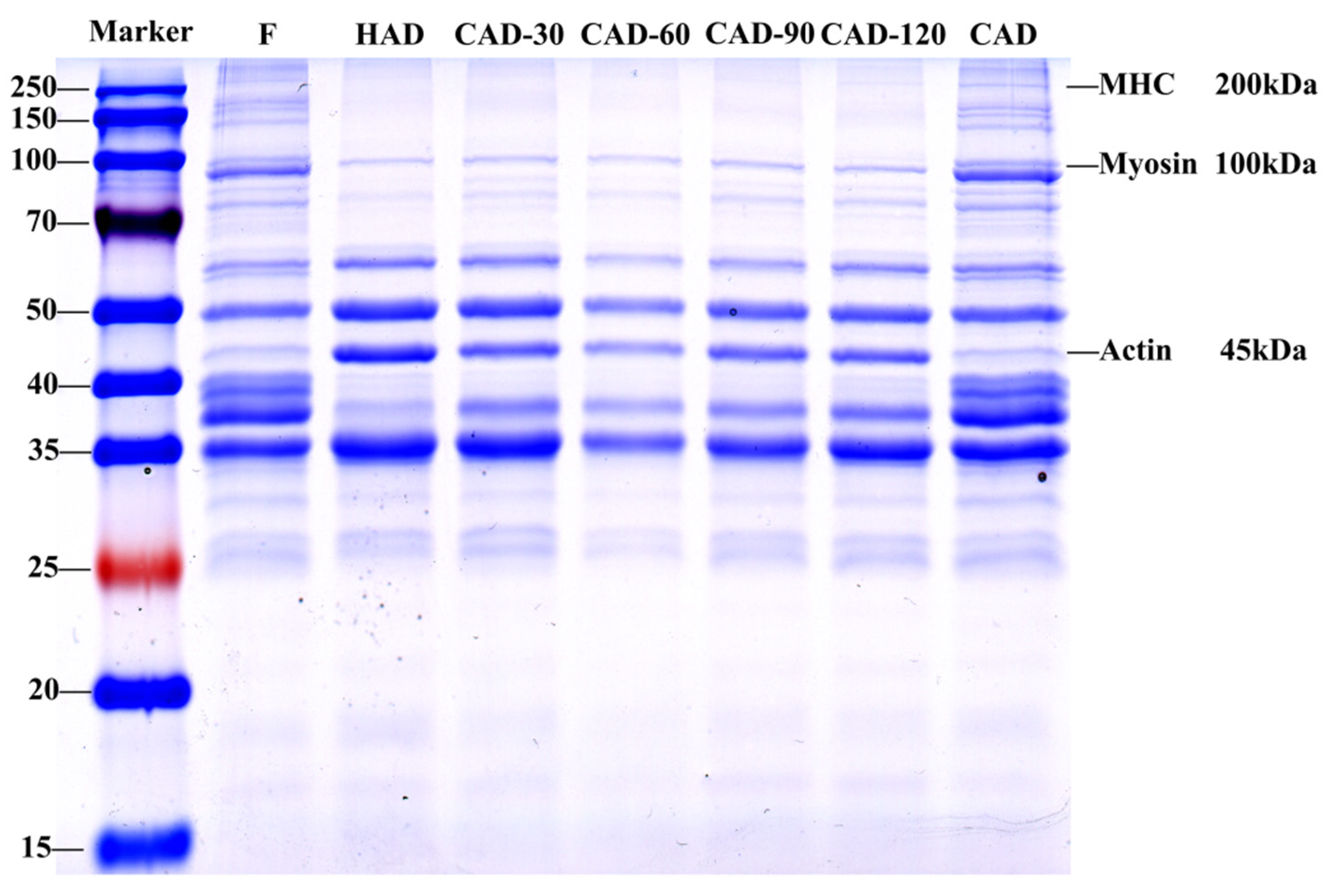Foods 12 01649 g005 Foods 12 01649 g005