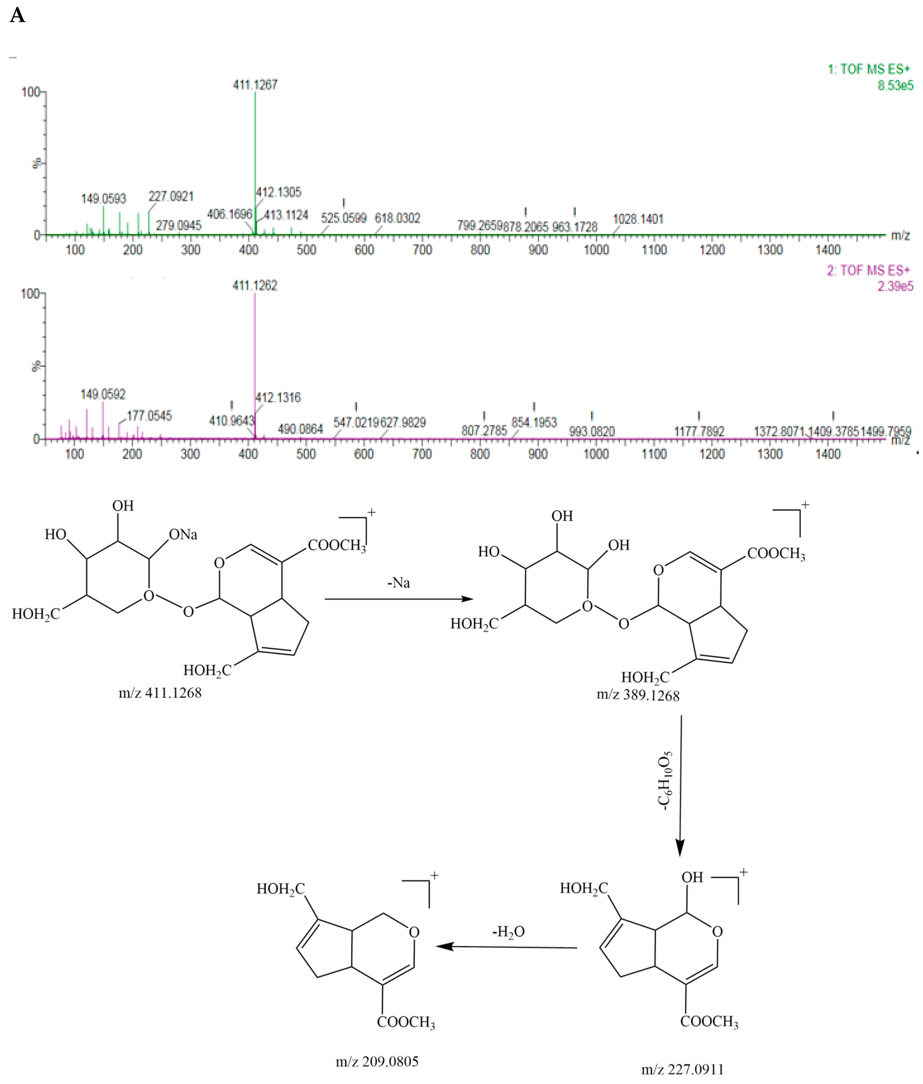 Foods 12 01668 g004a