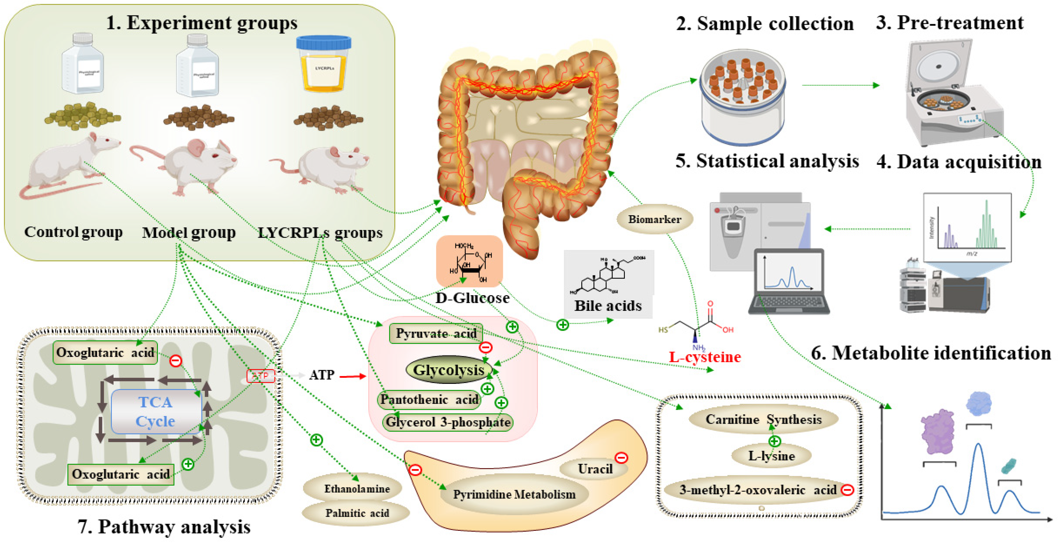 Foods 12 01687 g005 Foods 12 01687 g005