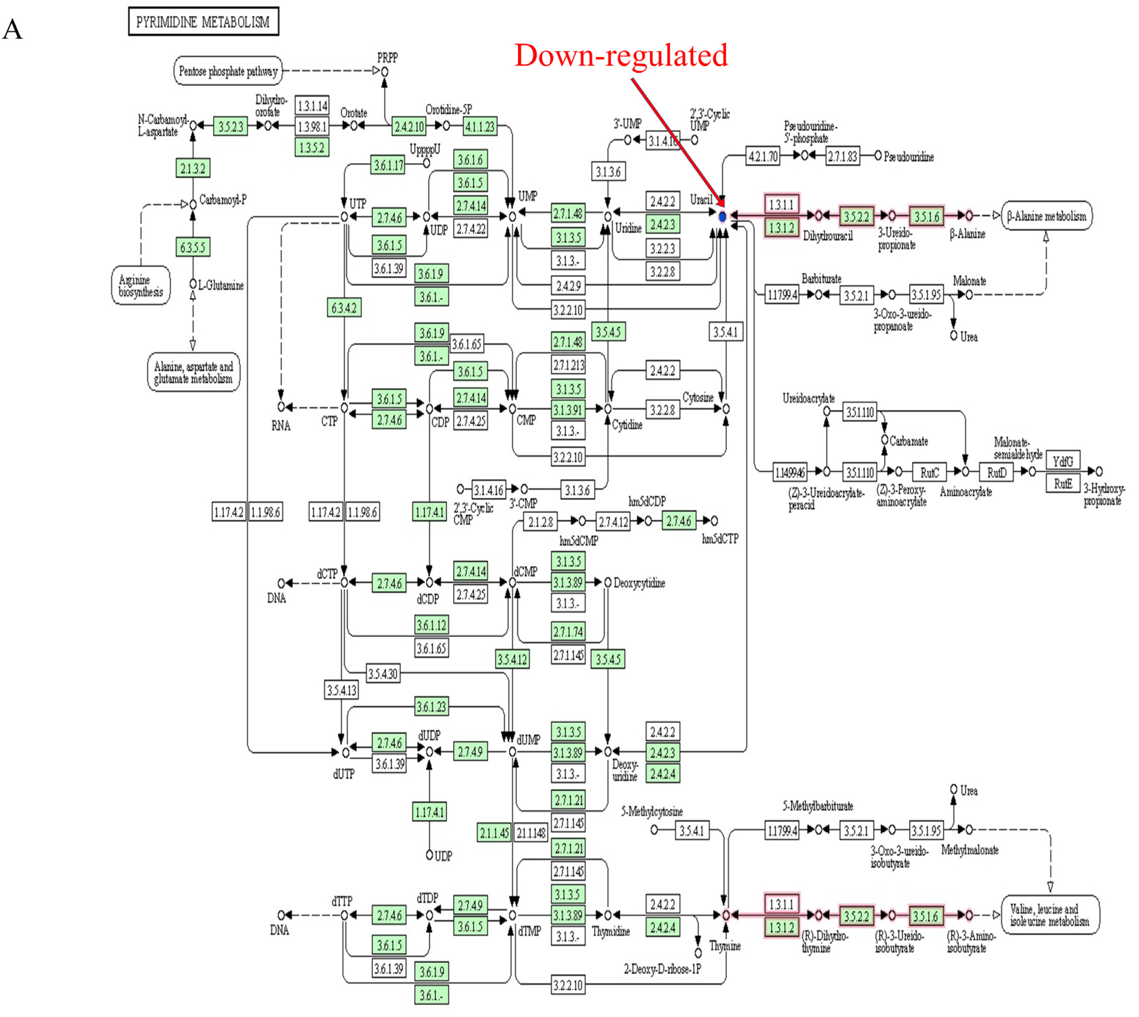 Foods 12 01687 g006a Foods 12 01687 g006a