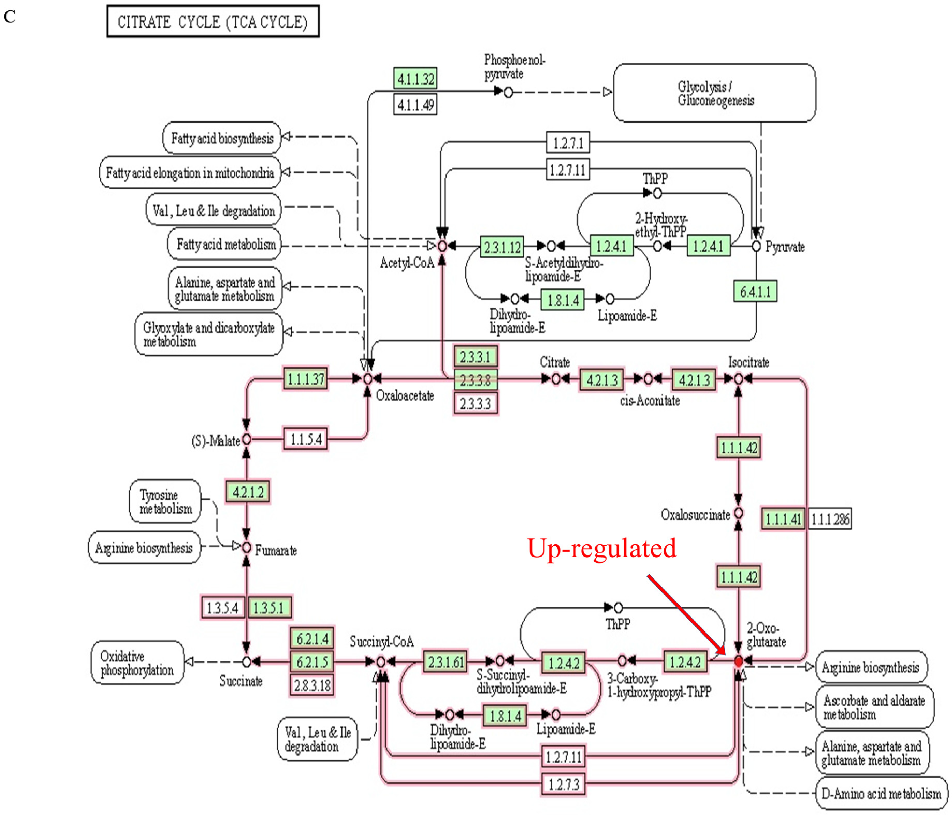 Foods 12 01687 g006c Foods 12 01687 g006c