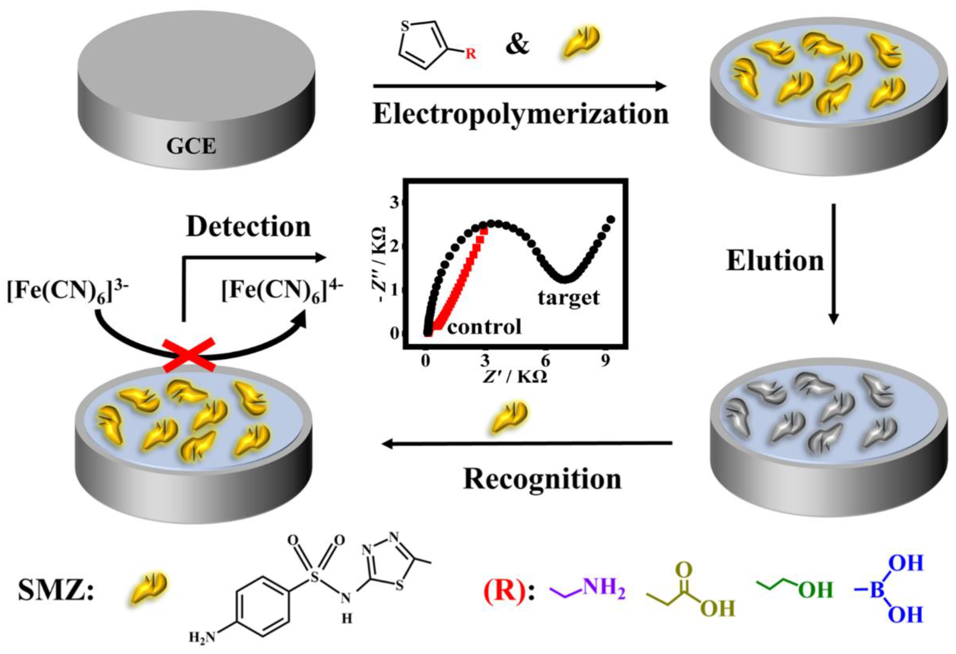 Foods 12 01693 sch001 Foods 12 01693 sch001