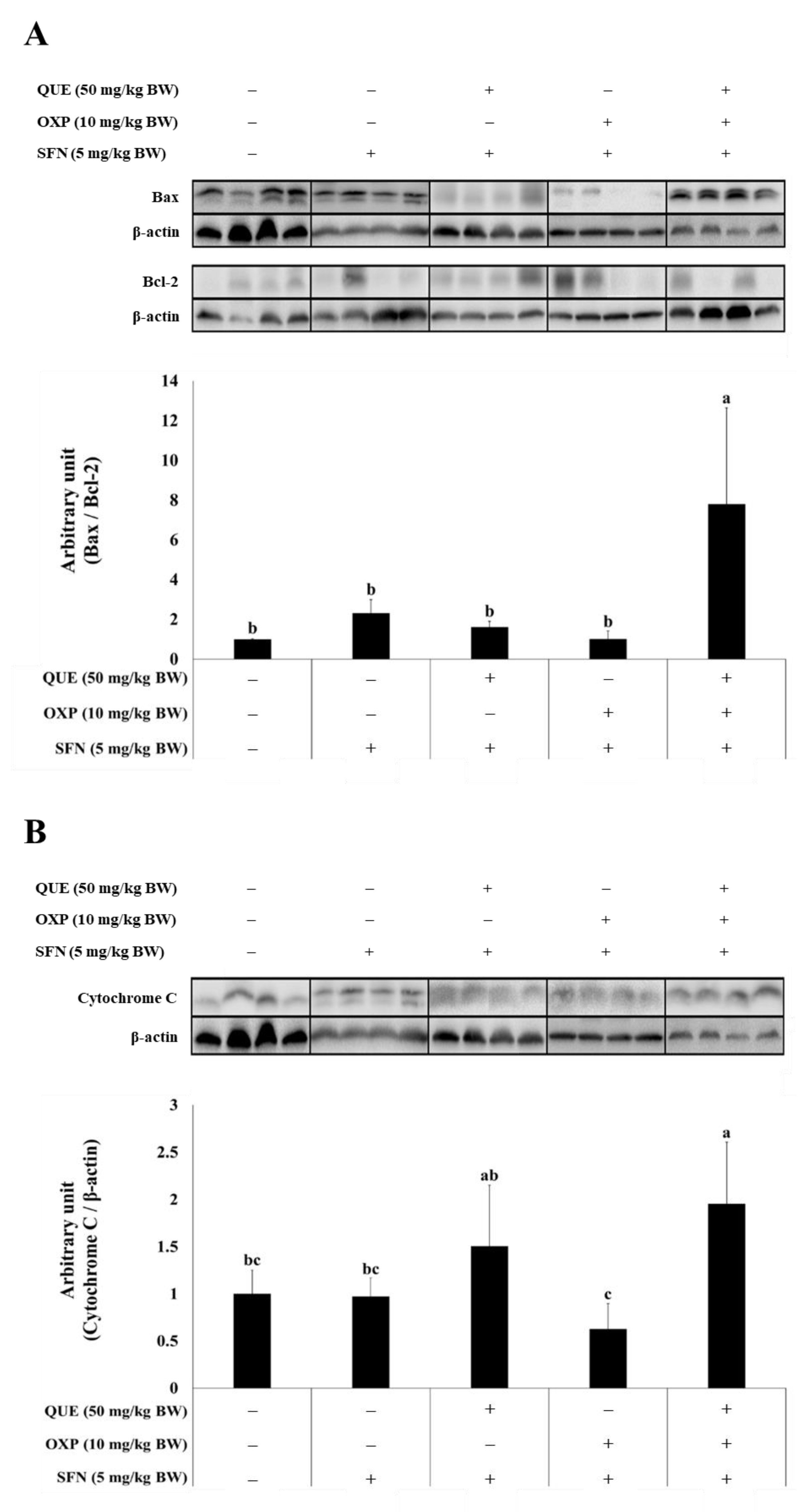 Foods 12 01733 g008a Foods 12 01733 g008a