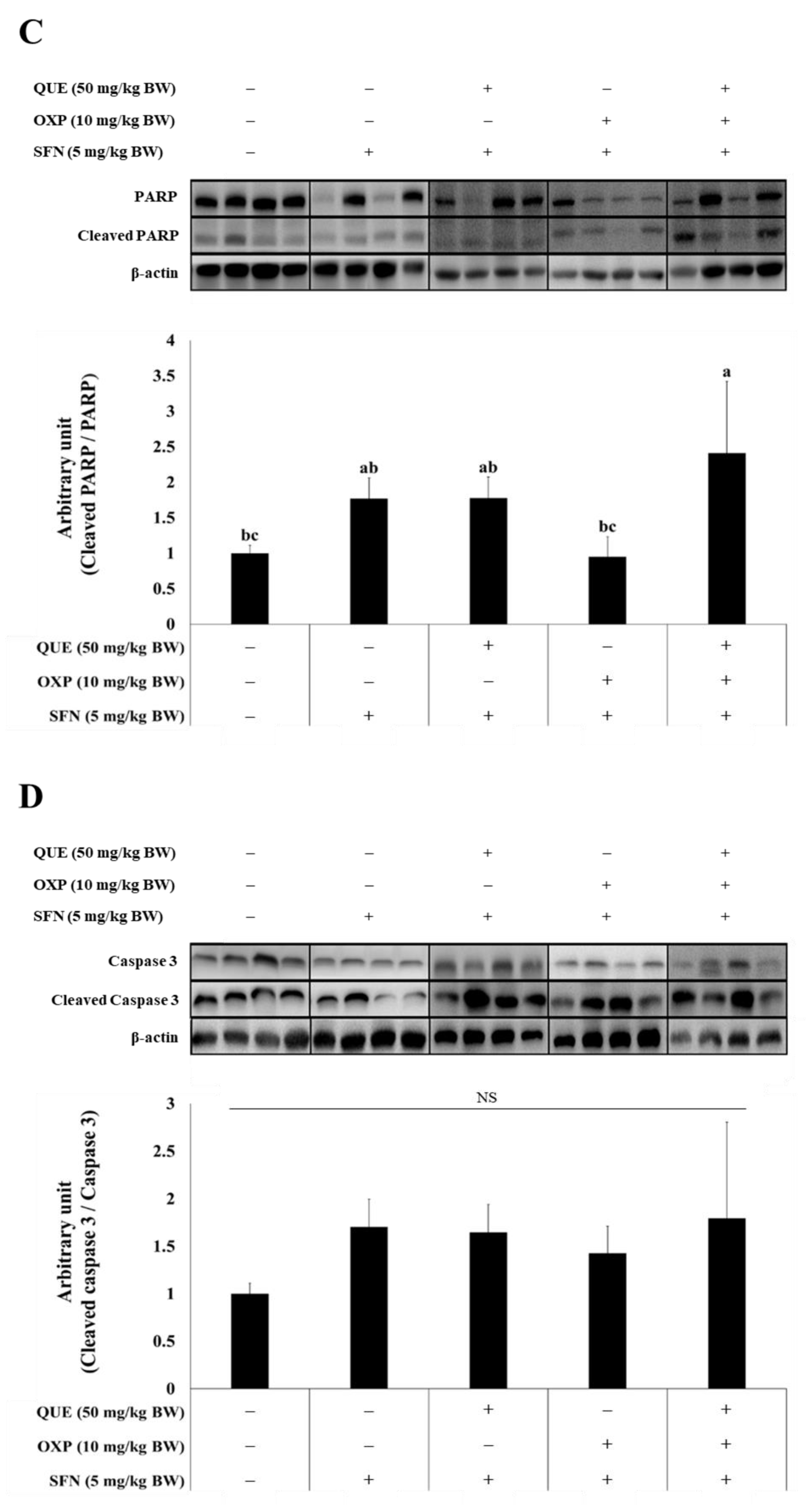 Foods 12 01733 g008b Foods 12 01733 g008b
