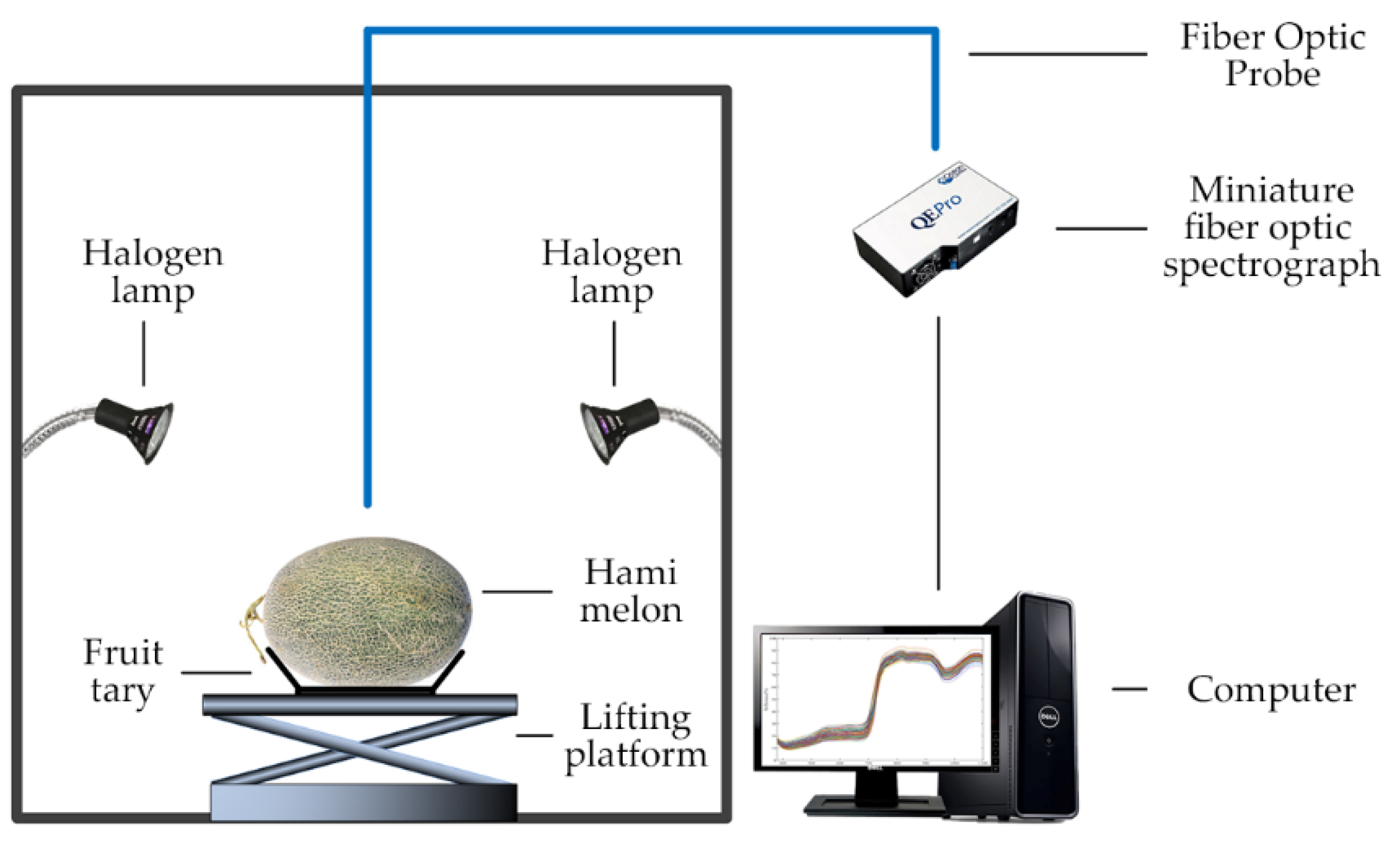 Foods 12 01742 g001 Foods 12 01742 g001