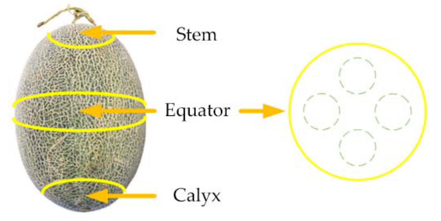 Foods 12 01742 g002 Foods 12 01742 g002