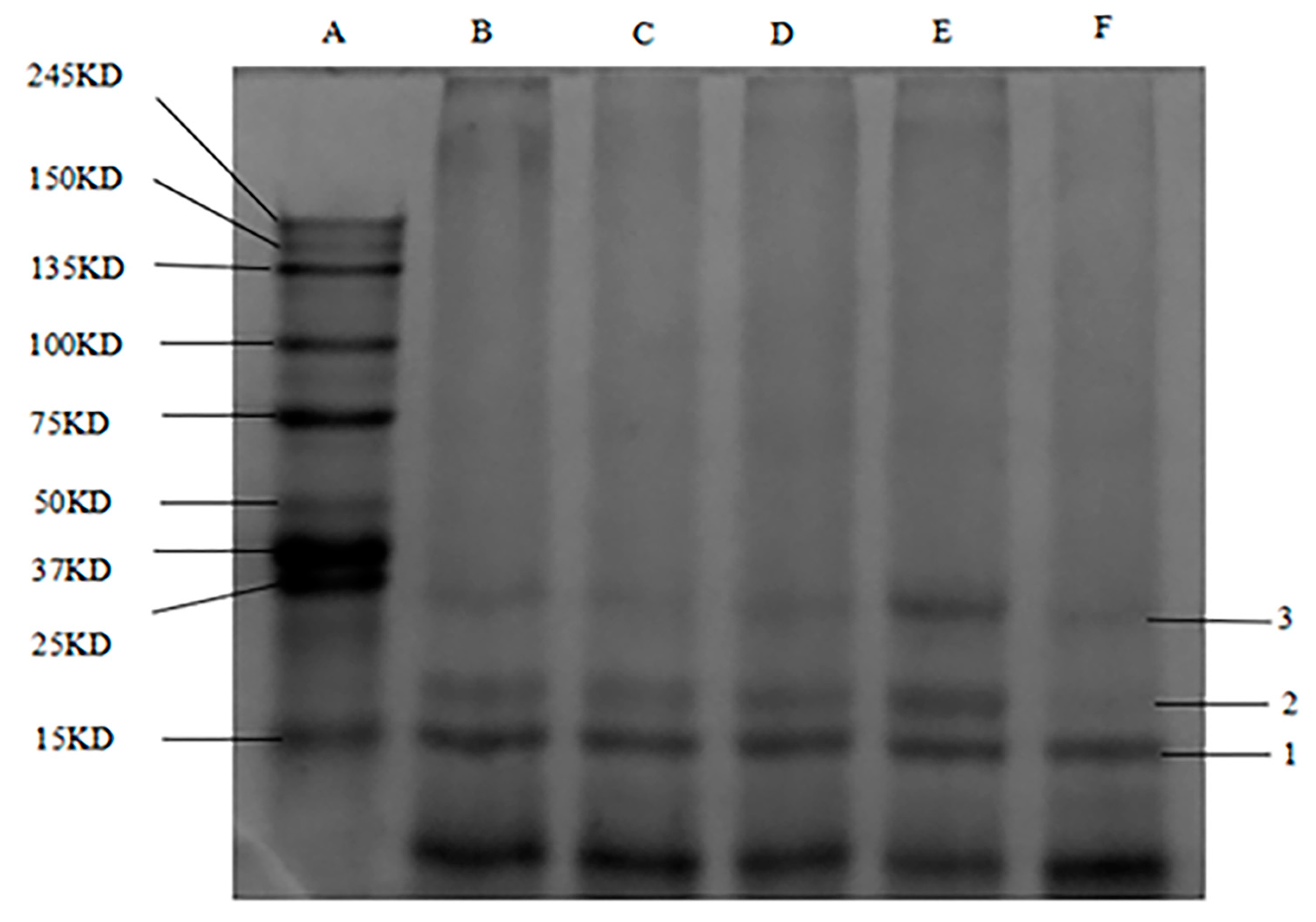 Foods 12 01745 g002 Foods 12 01745 g002