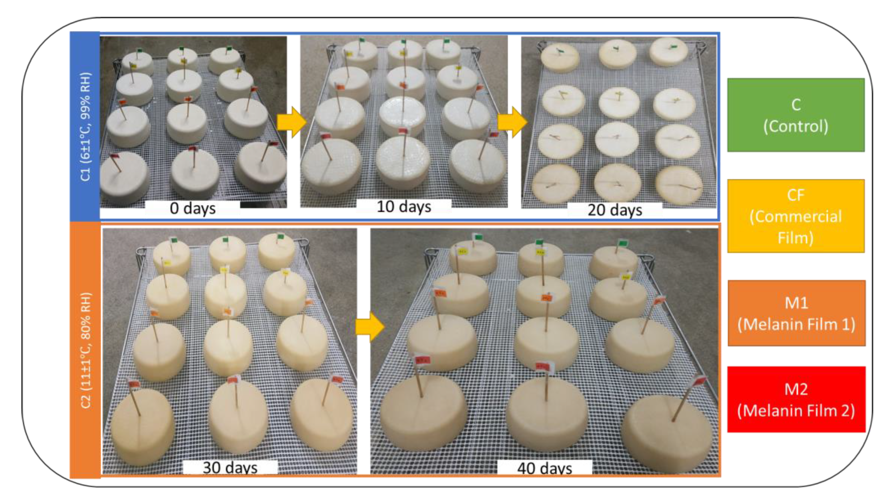 Foods 12 01806 g005 Foods 12 01806 g005