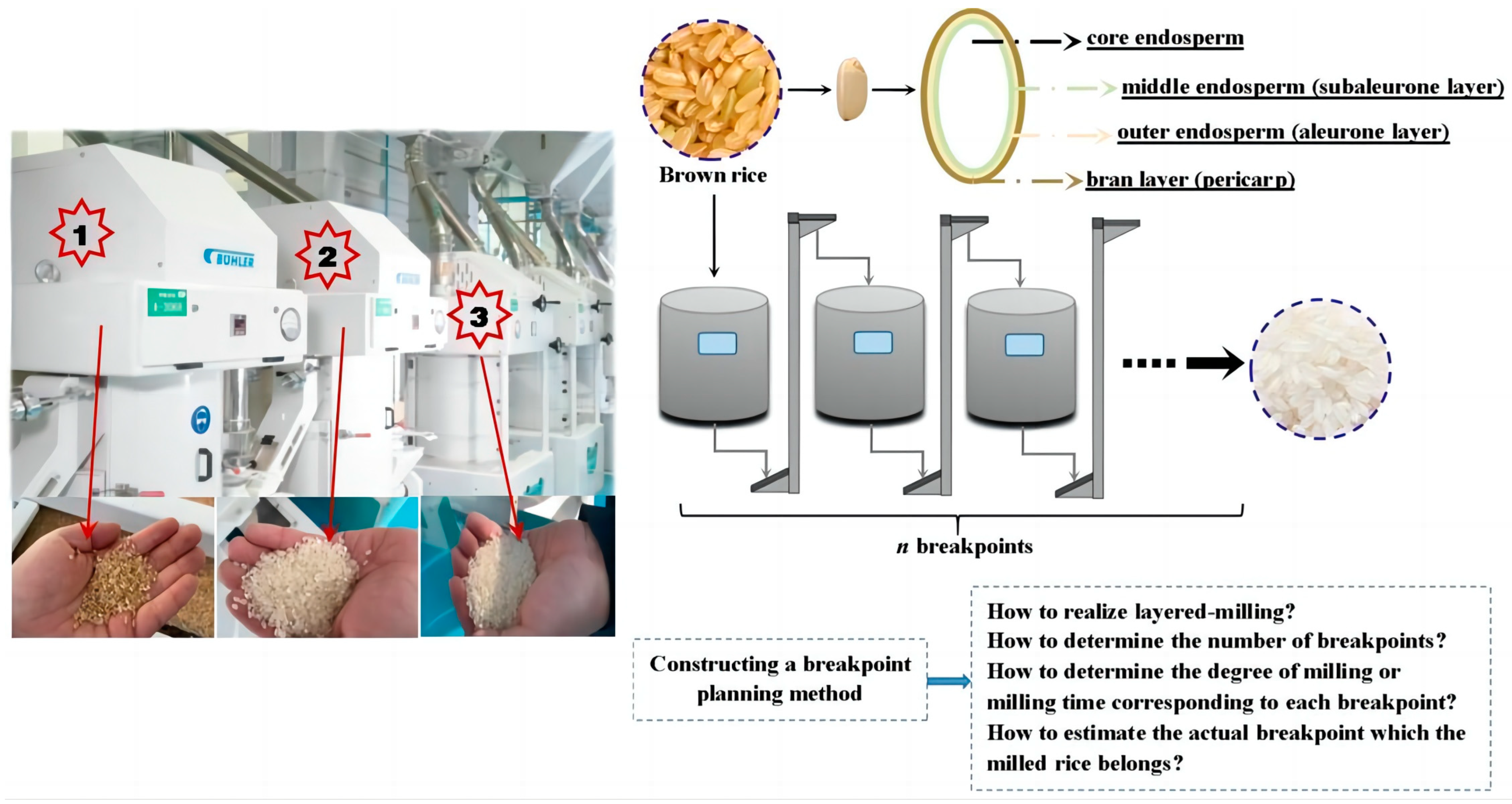 Foods 12 01864 g001 Foods 12 01864 g001