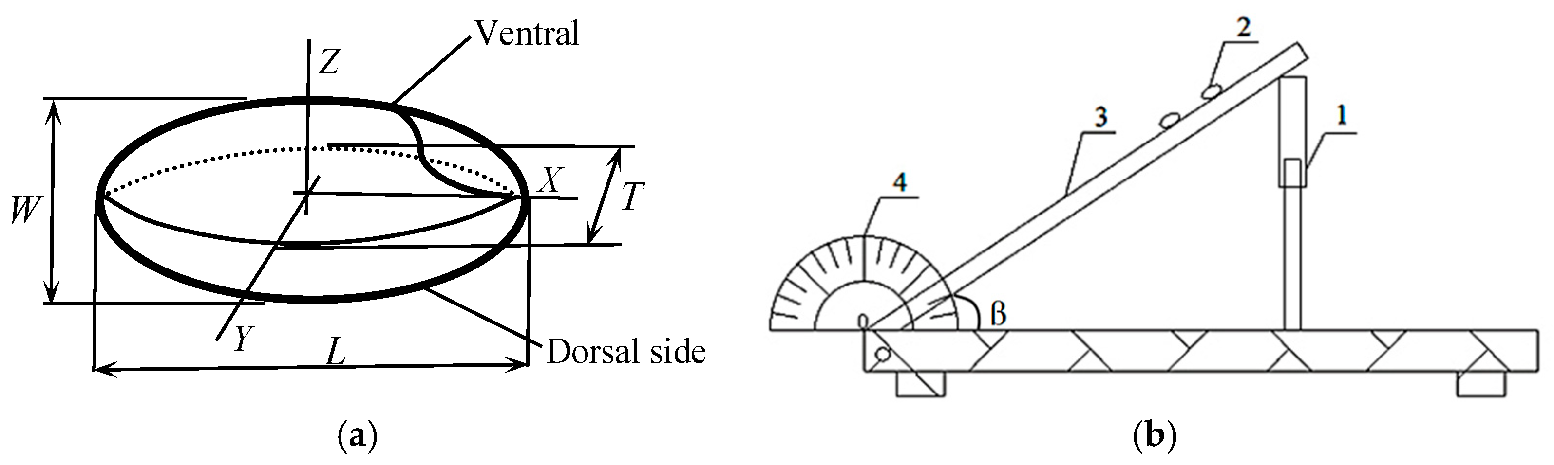 Foods 12 01864 g005 Foods 12 01864 g005