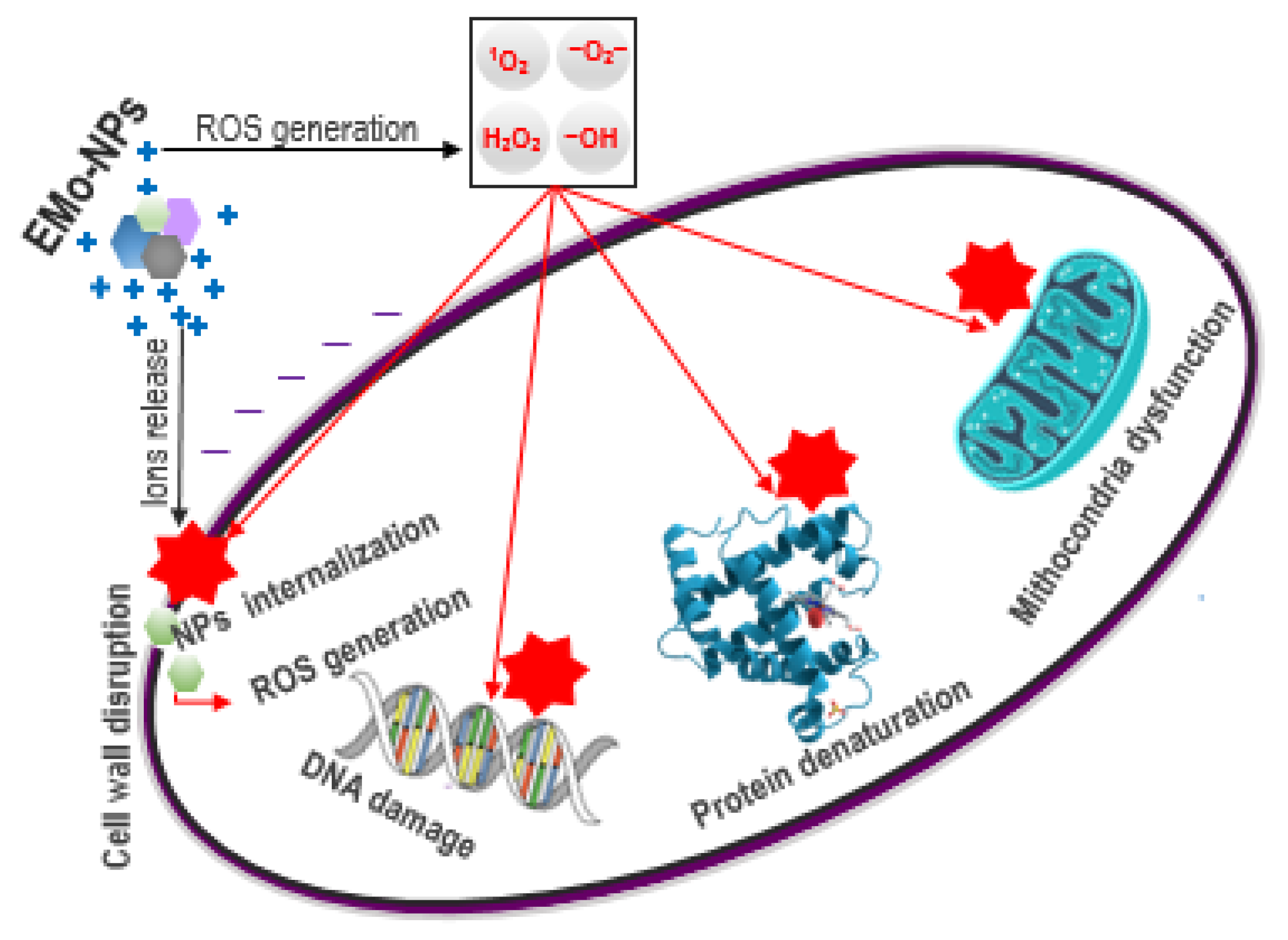 Foods 12 01882 g002 Foods 12 01882 g002