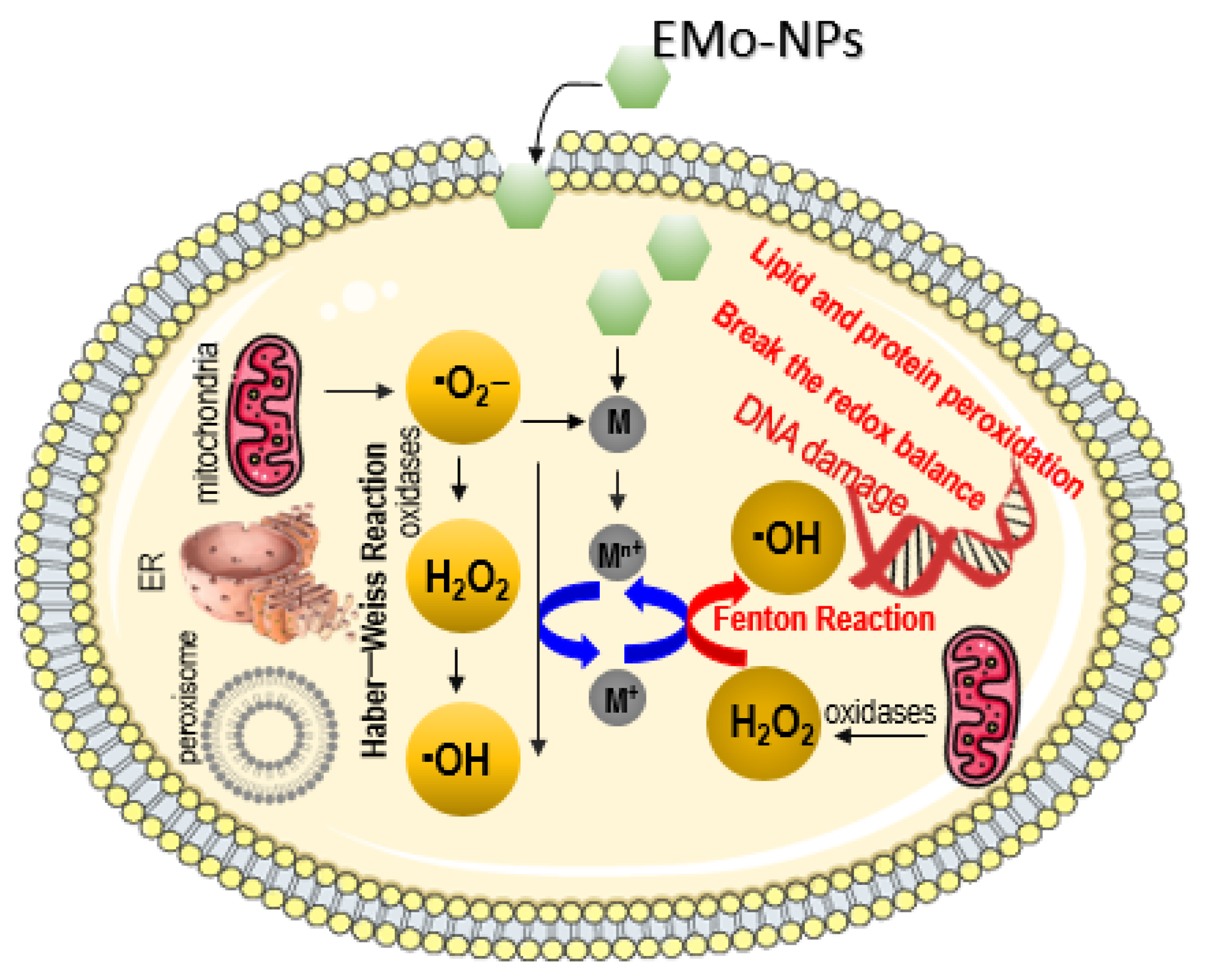 Foods 12 01882 g005 Foods 12 01882 g005