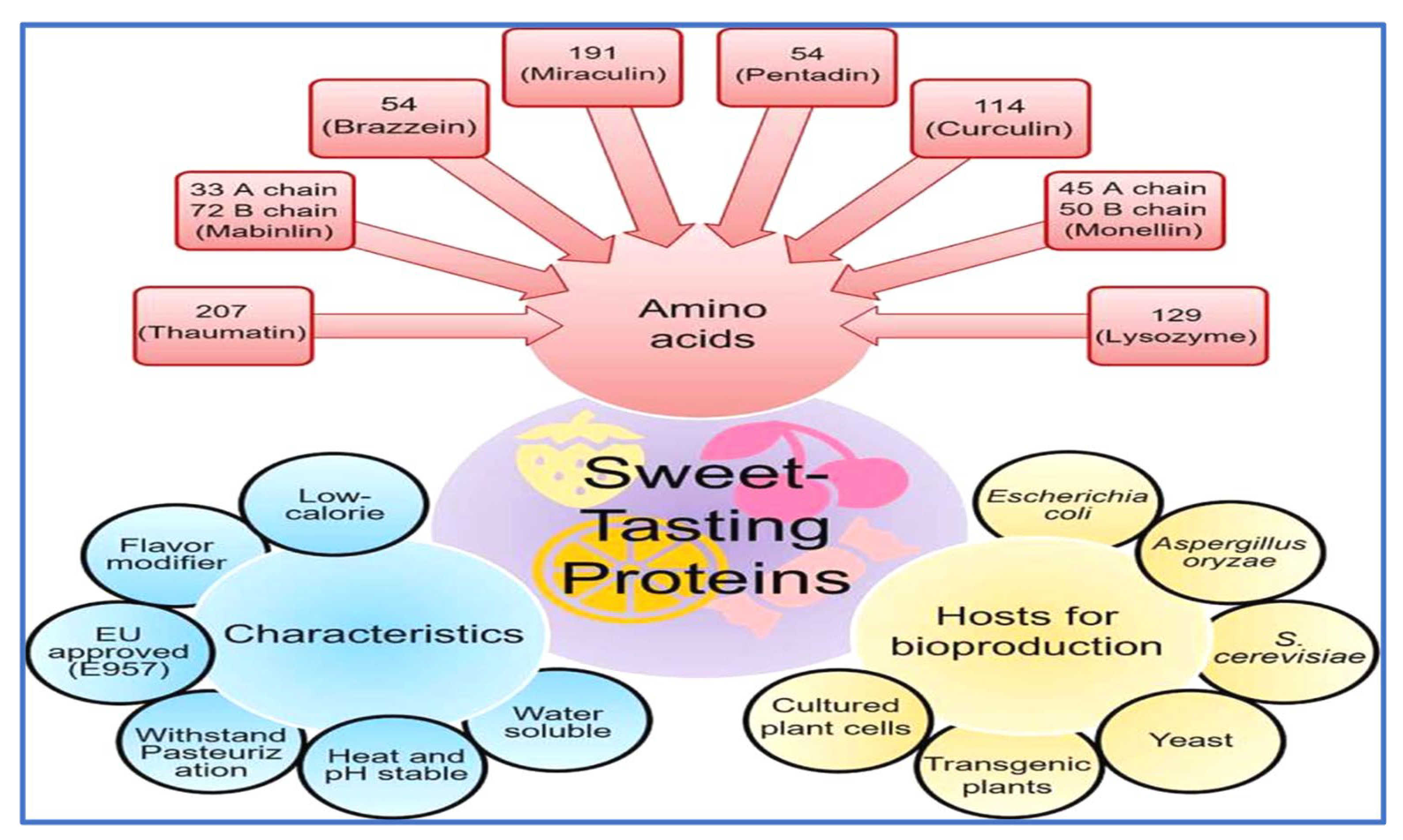 Foods 12 01943 g001 Foods 12 01943 g001