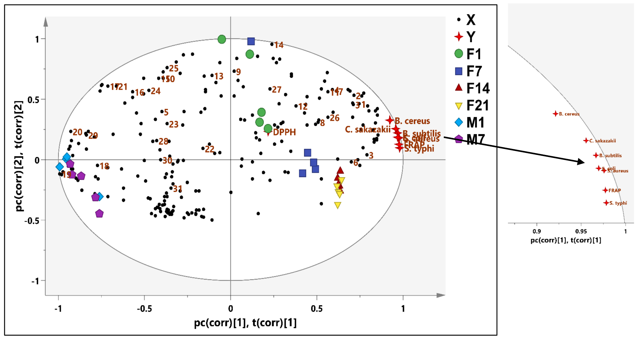 Foods 12 01971 g005 Foods 12 01971 g005