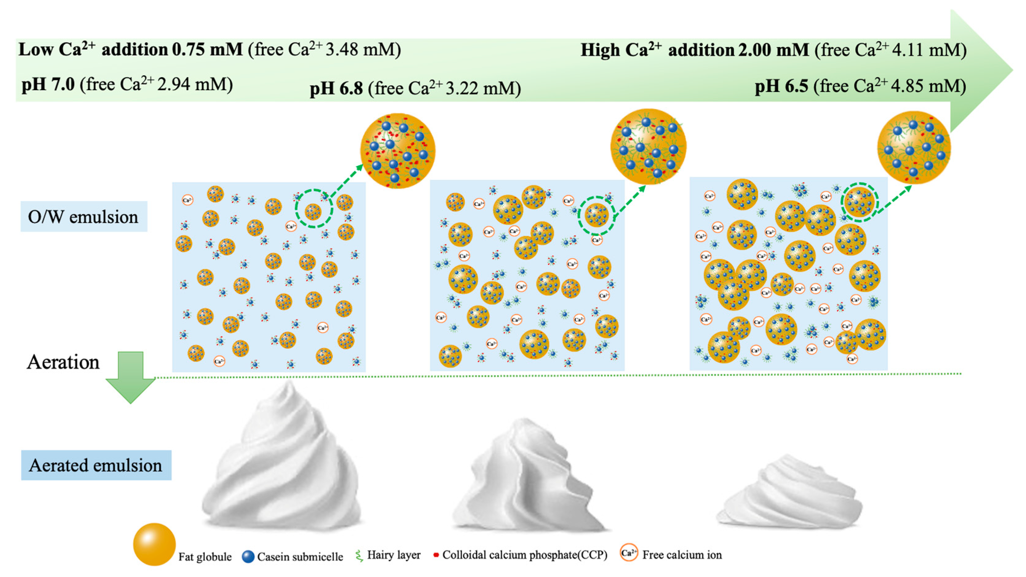 Foods 12 01976 g007 Foods 12 01976 g007