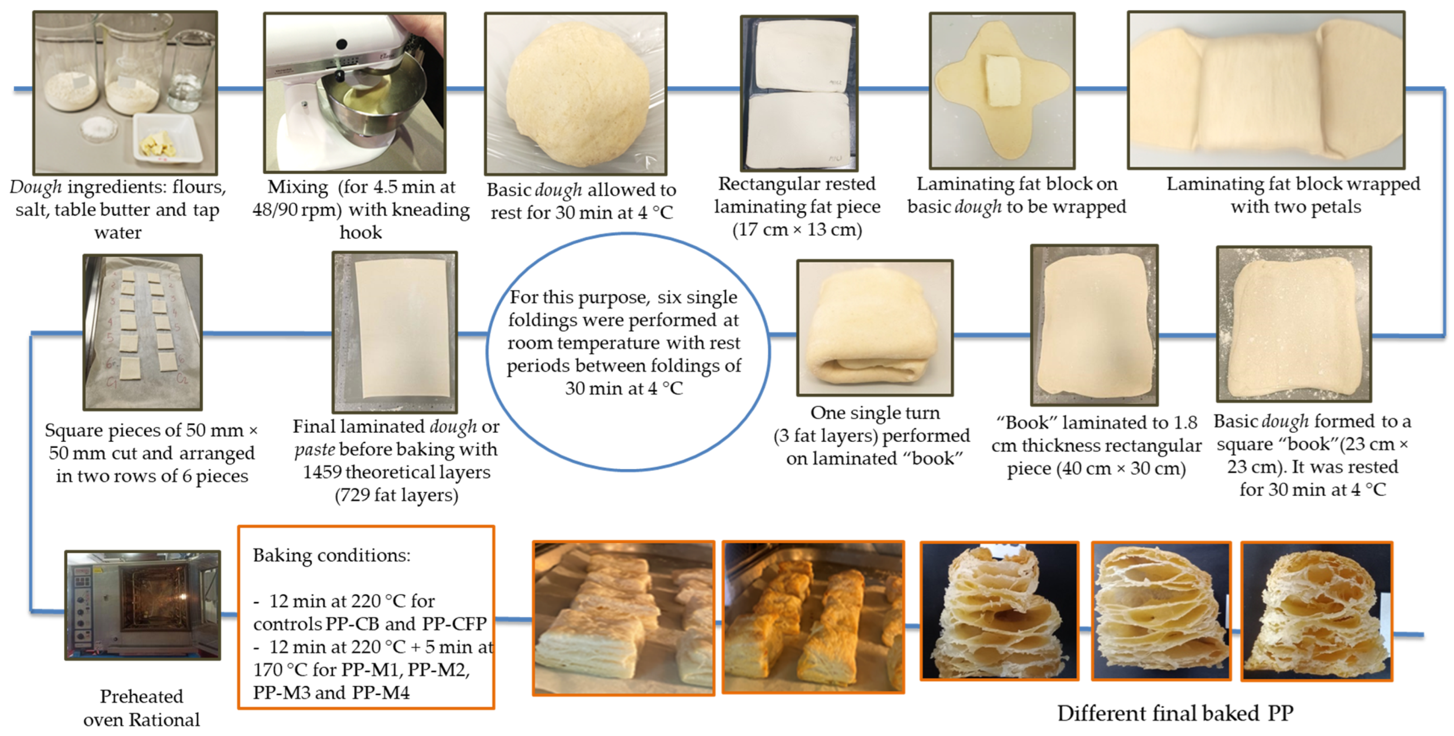 Foods 12 02138 g001 Foods 12 02138 g001