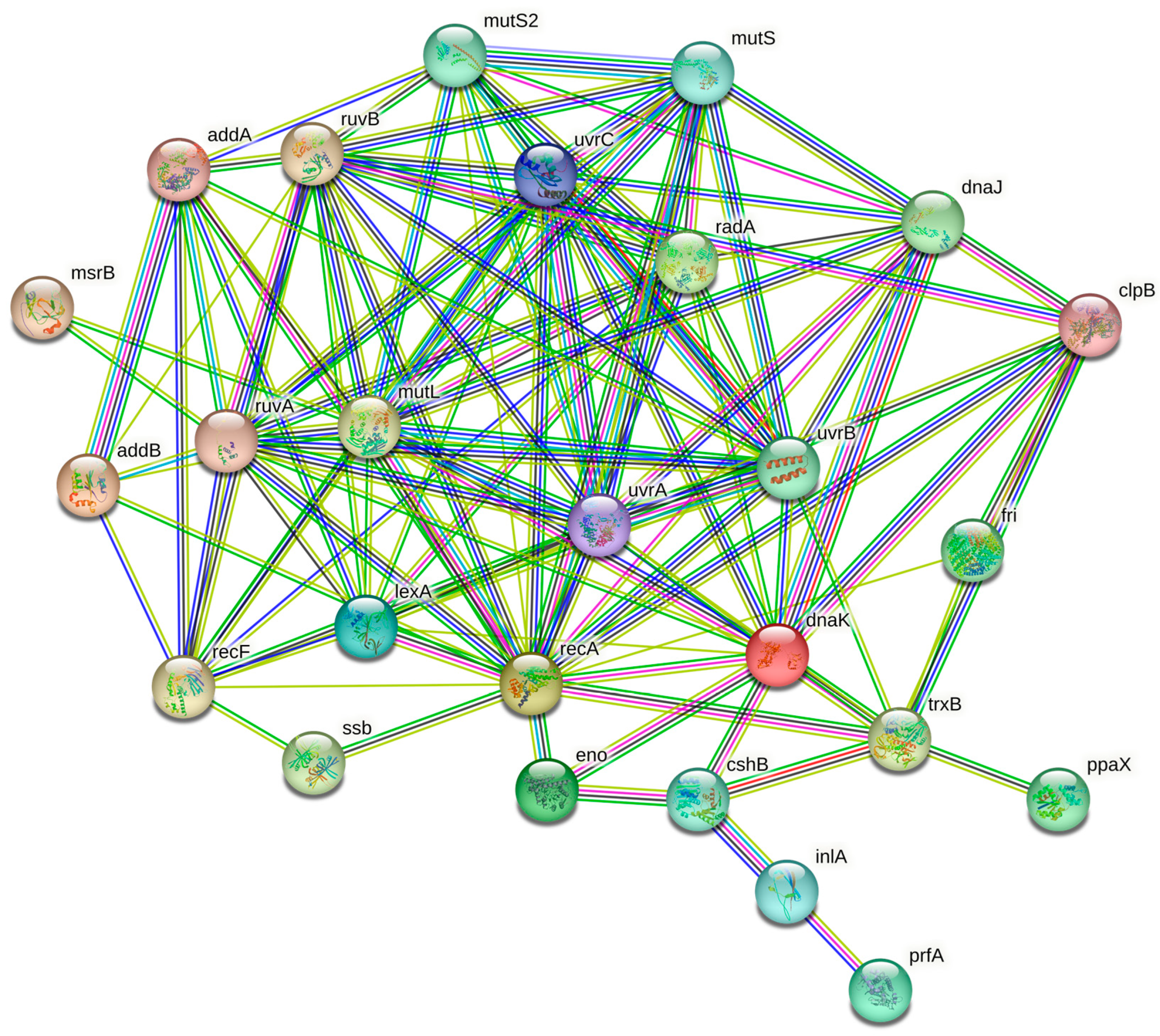 Foods 12 02166 g002 Foods 12 02166 g002