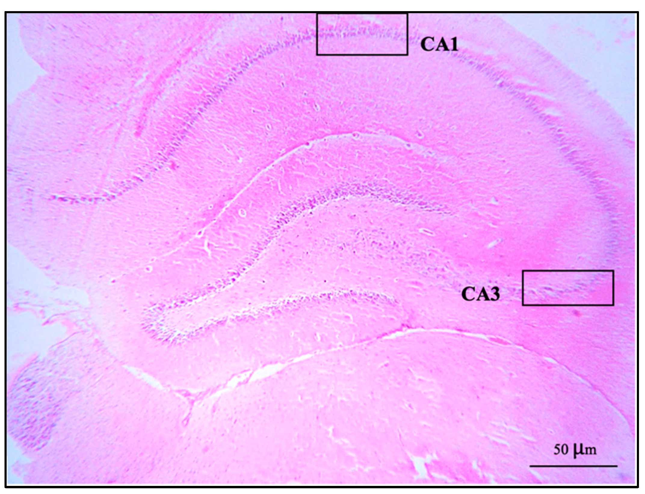 Foods 12 02175 g001 Foods 12 02175 g001