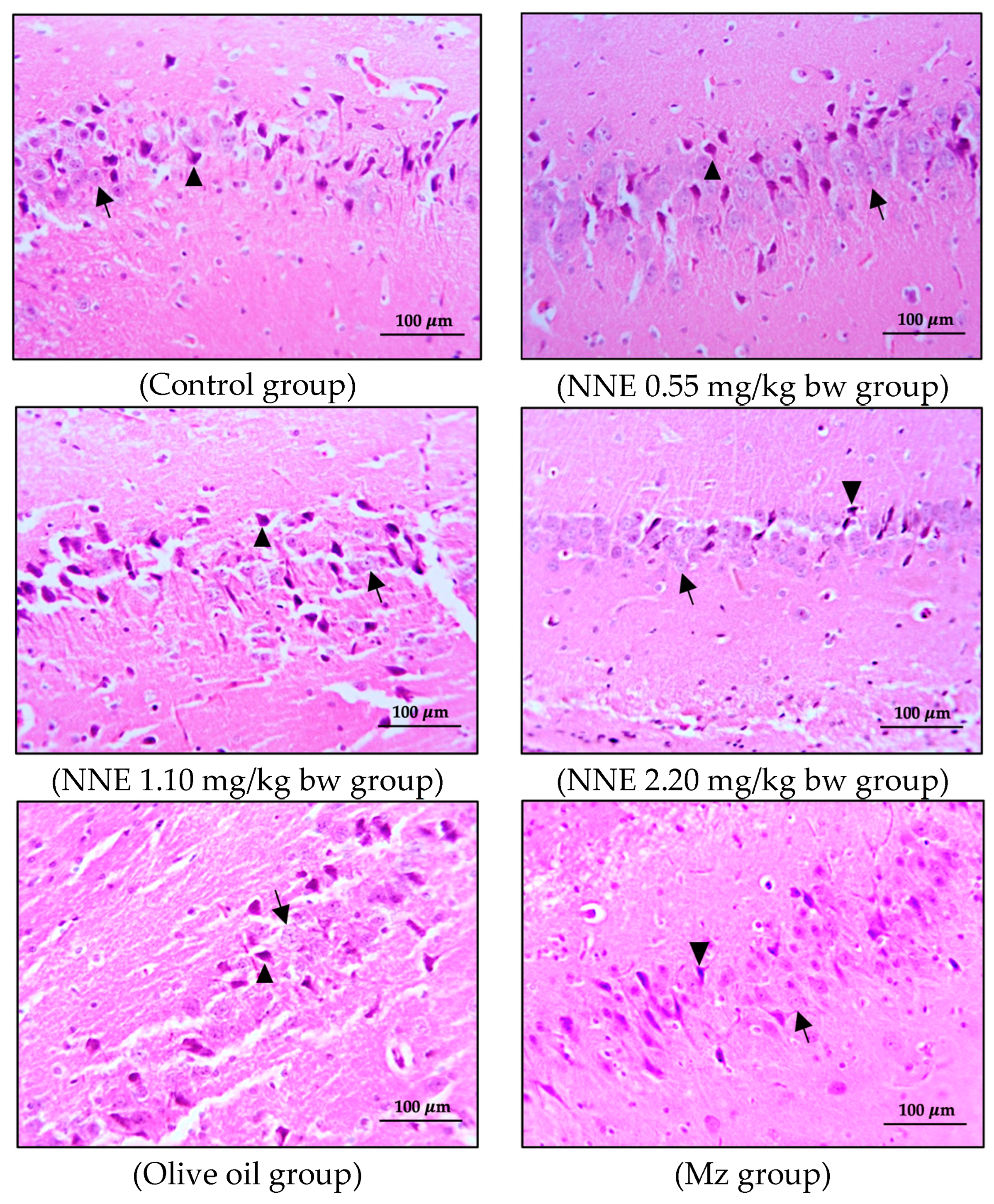 Foods 12 02175 g006a Foods 12 02175 g006a