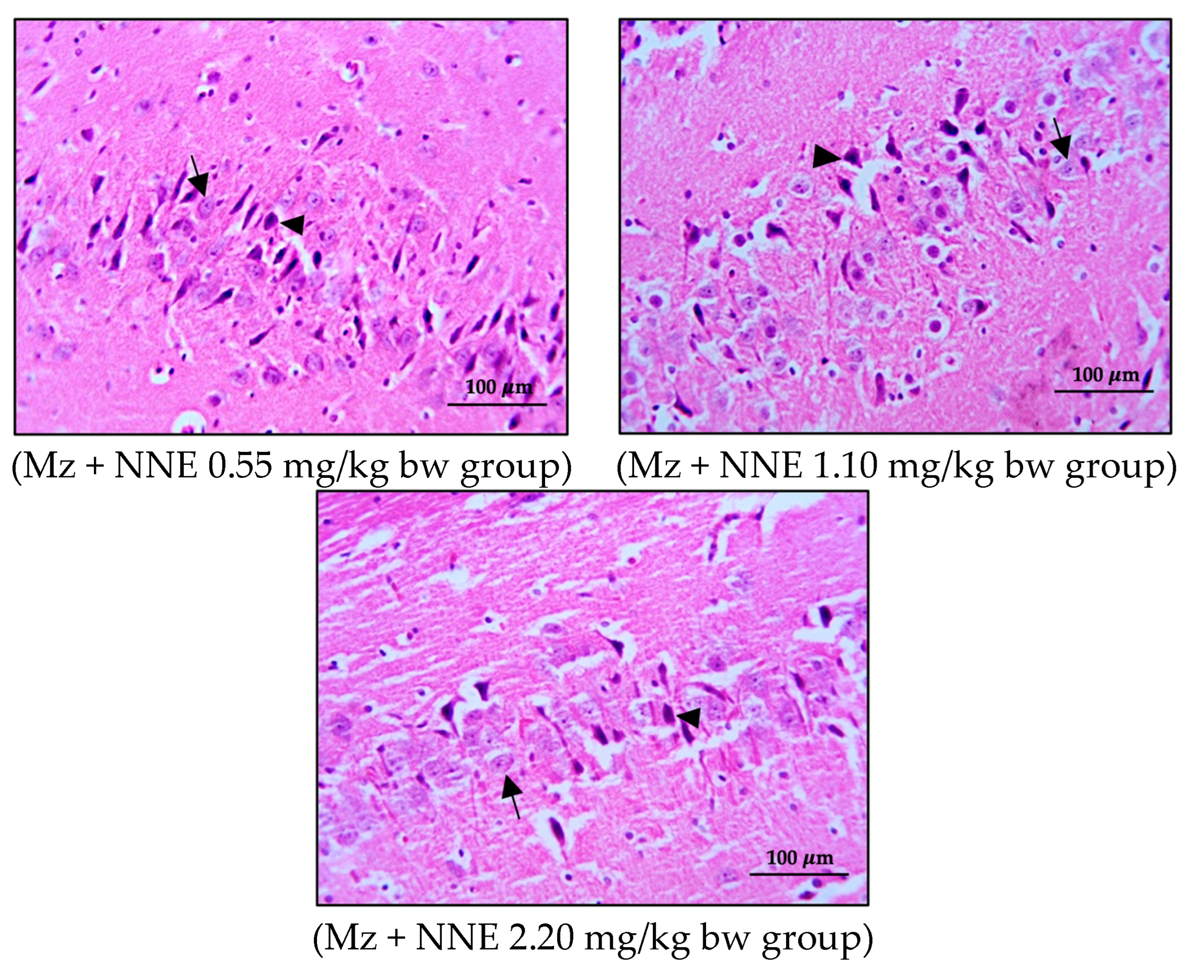 Foods 12 02175 g006b Foods 12 02175 g006b